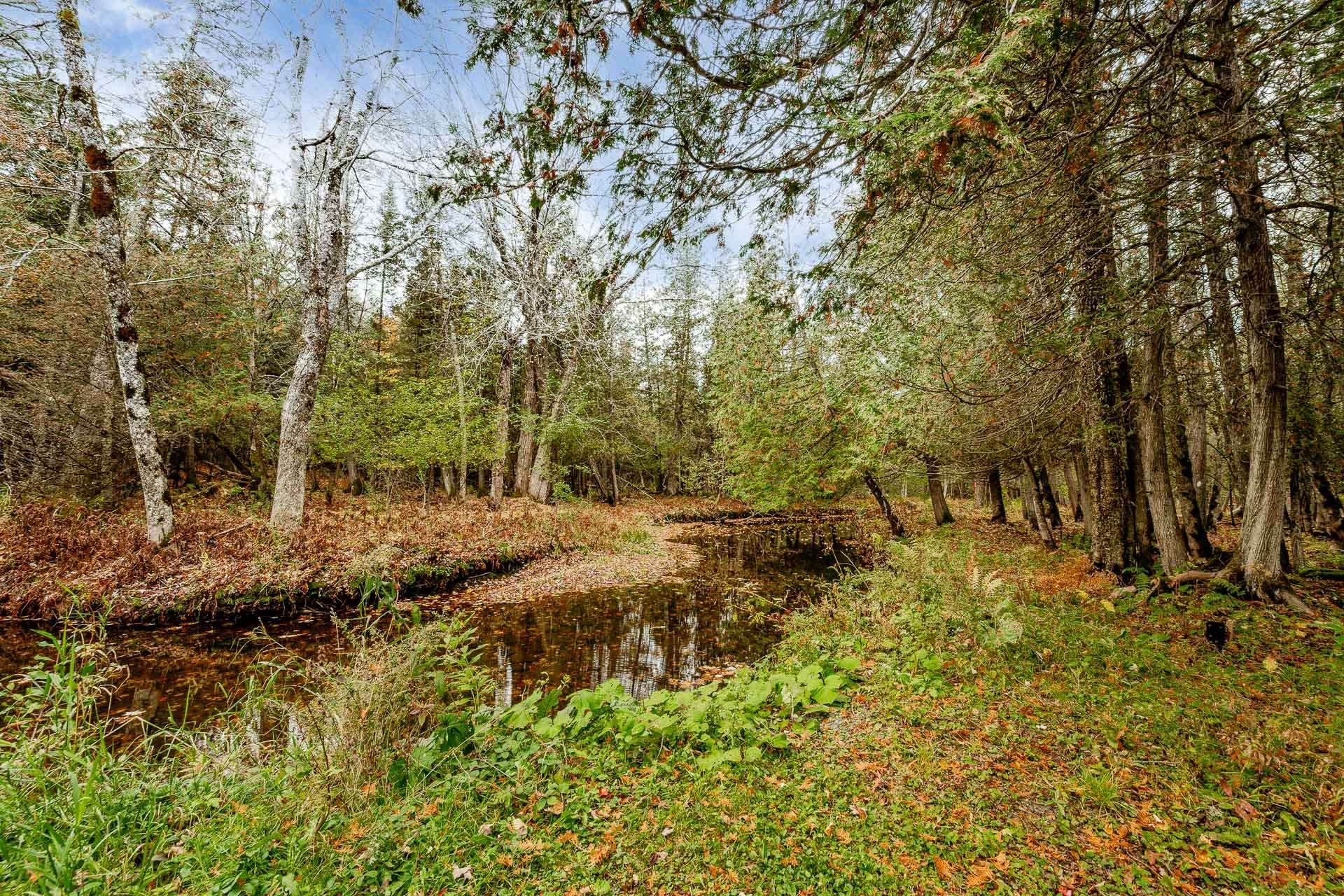 









14


Ch. du Ruisseau-Gale

,
Stanstead - Canton,




QC
J0B3E0

