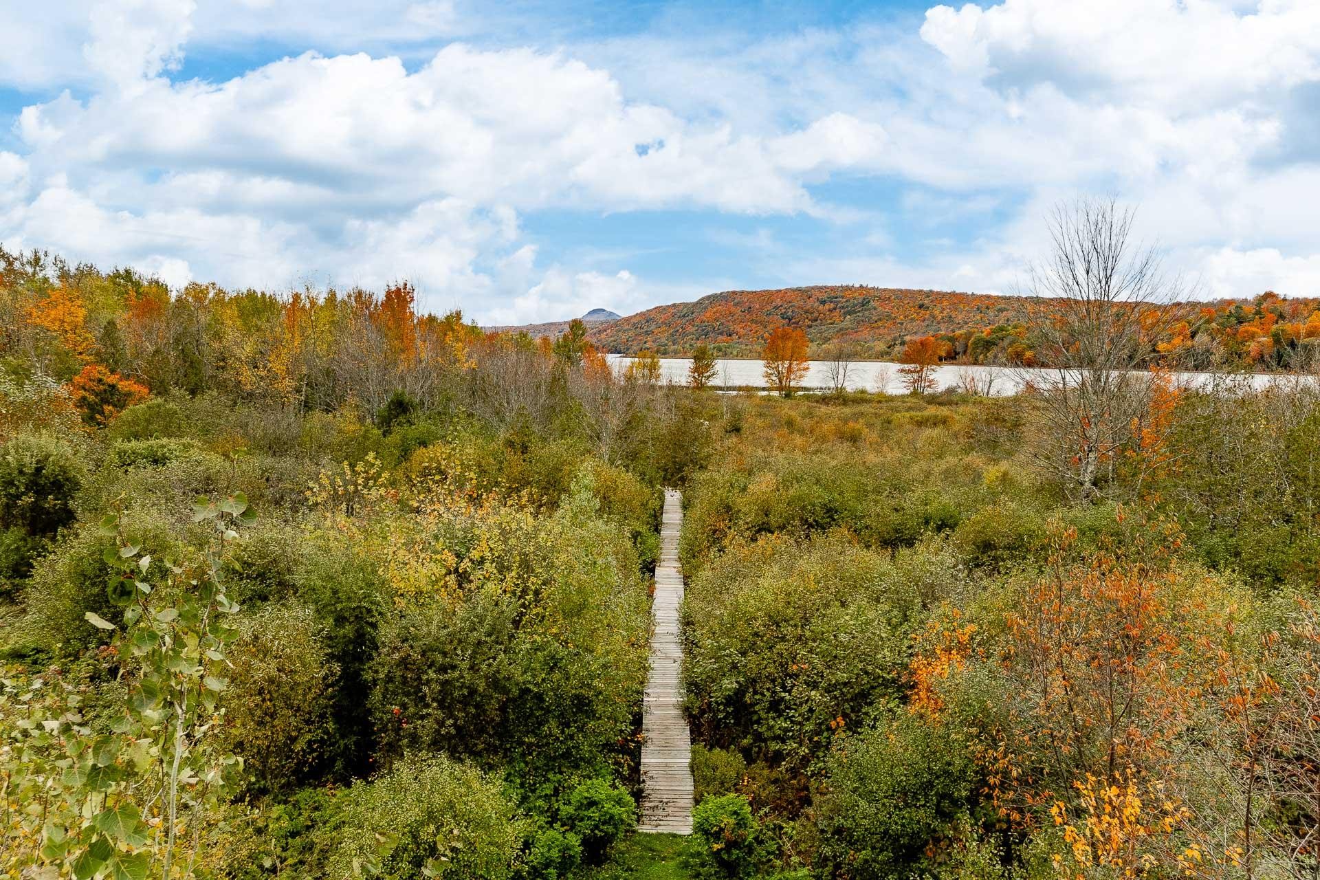 









14


Ch. du Ruisseau-Gale

,
Stanstead - Canton,




QC
J0B3E0

