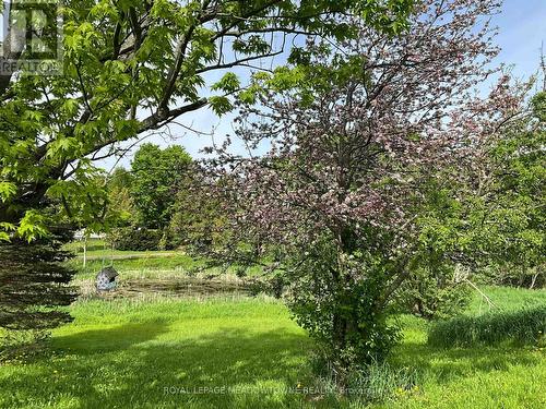 Two spring fed ponds