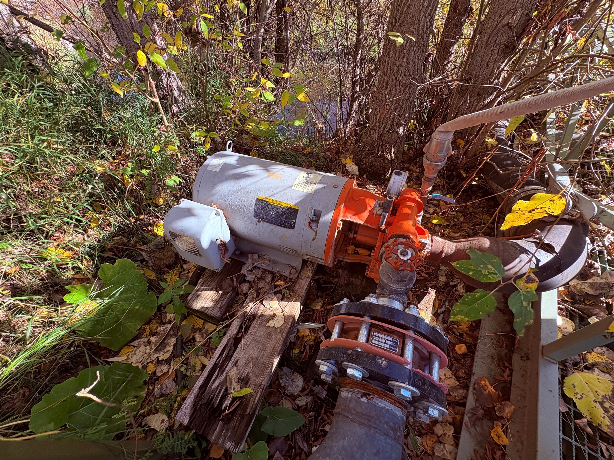 









36


Hurt

Road,
Lumby,







BC
V0E 2G5

