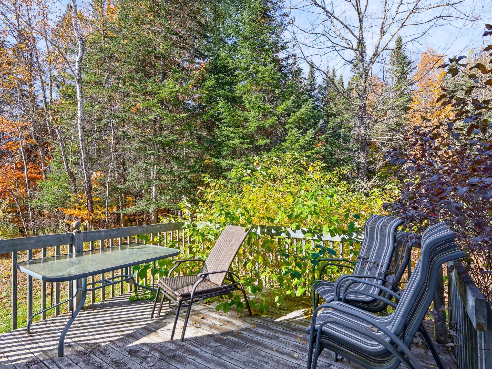 









2765


Rue du Manège

,
Hatley - Canton,




QC
J0B2C0

