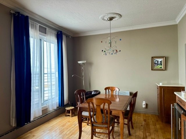 









170

 - 172


1re Avenue O.

,
Sainte-Anne-des-Monts,




QC
G4V1C8

