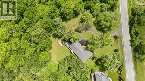 Expansive property featuring a gabled roofline, lush surrounding tree canopy, green lawn, and an asphalt driveway