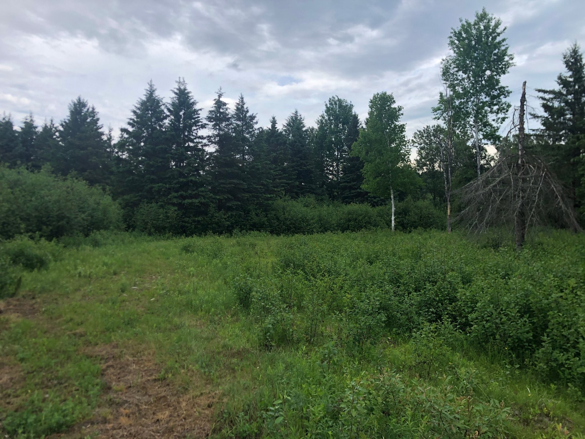 












Rue Labelle

,
Egan-Sud,







QC
J9E3A9

