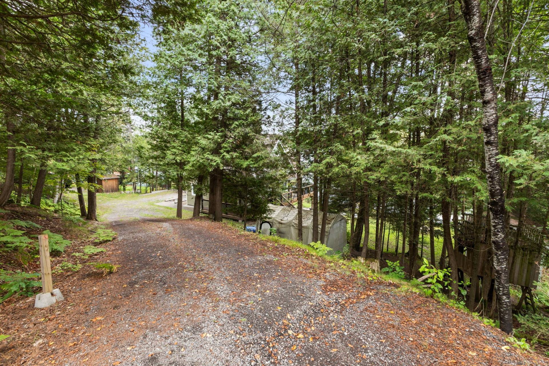 









45


Ch. Harry-McClelland

,
La Pêche,




QC
J0X1A0

