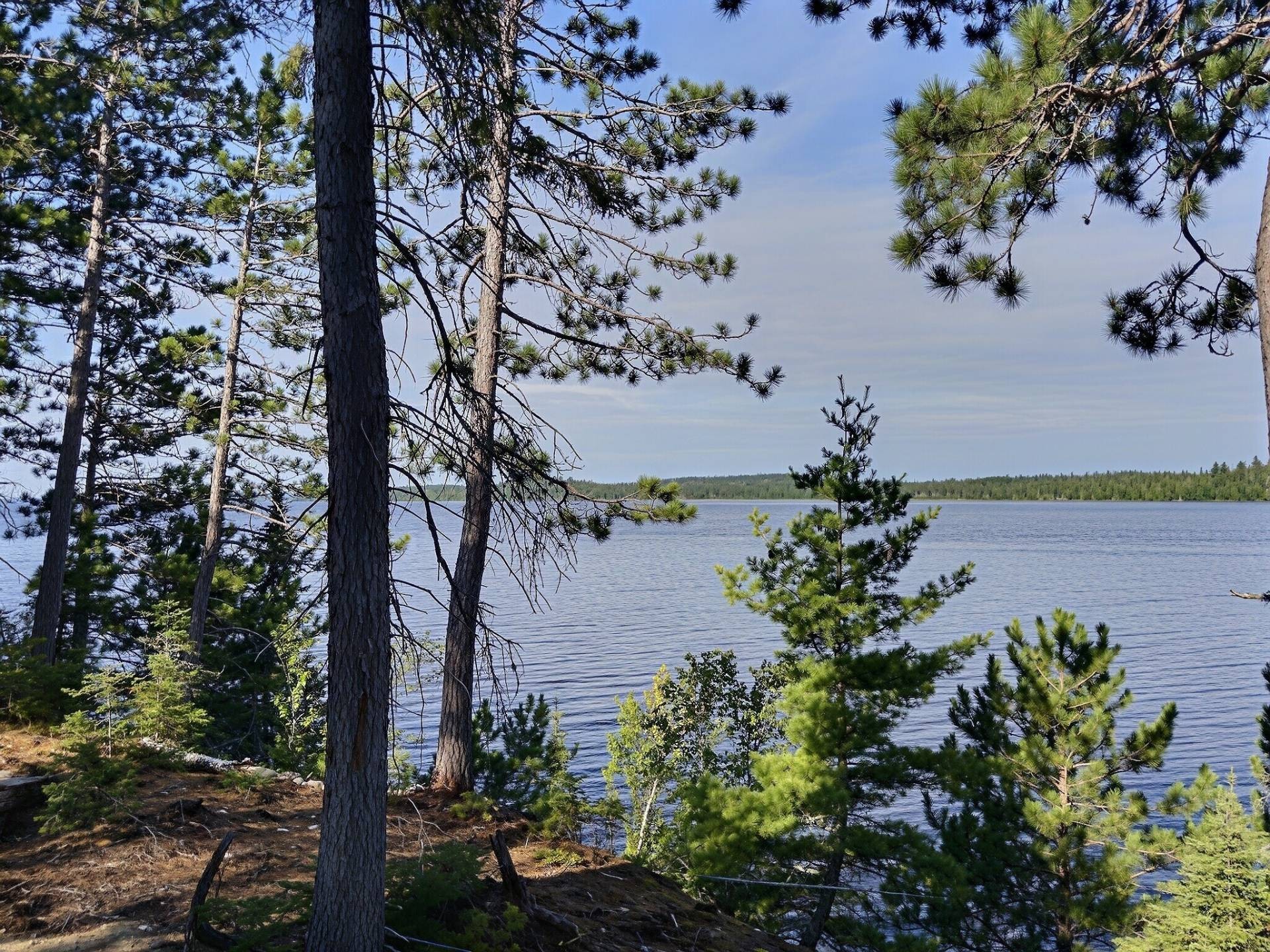 









1783


Ch. de Grassy Narrow

,
Moffet,




QC
J0Z2W0

