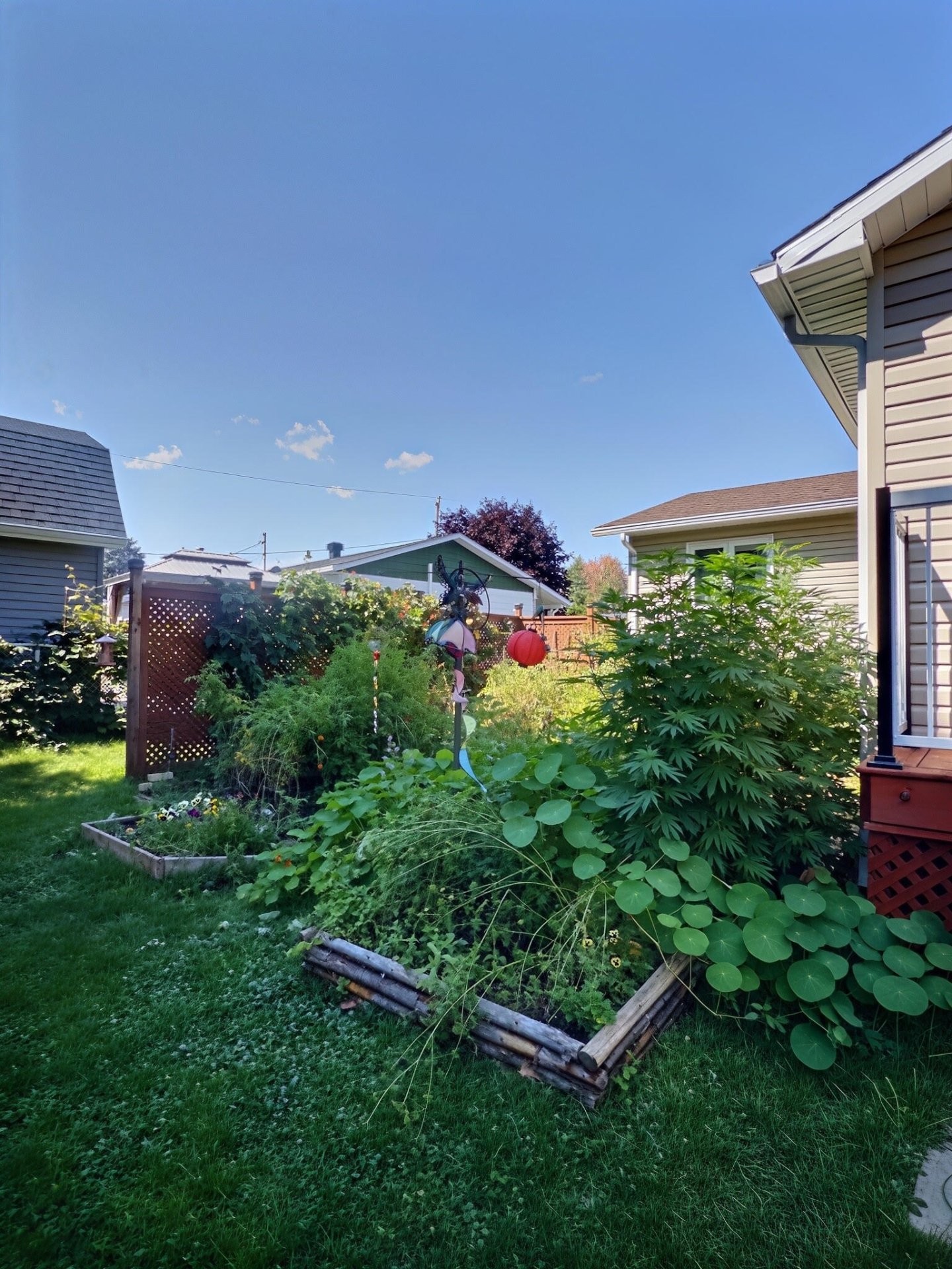 









6005


Rue Lacoursière

,
Trois-Rivières,




QC
G8Y4T6

