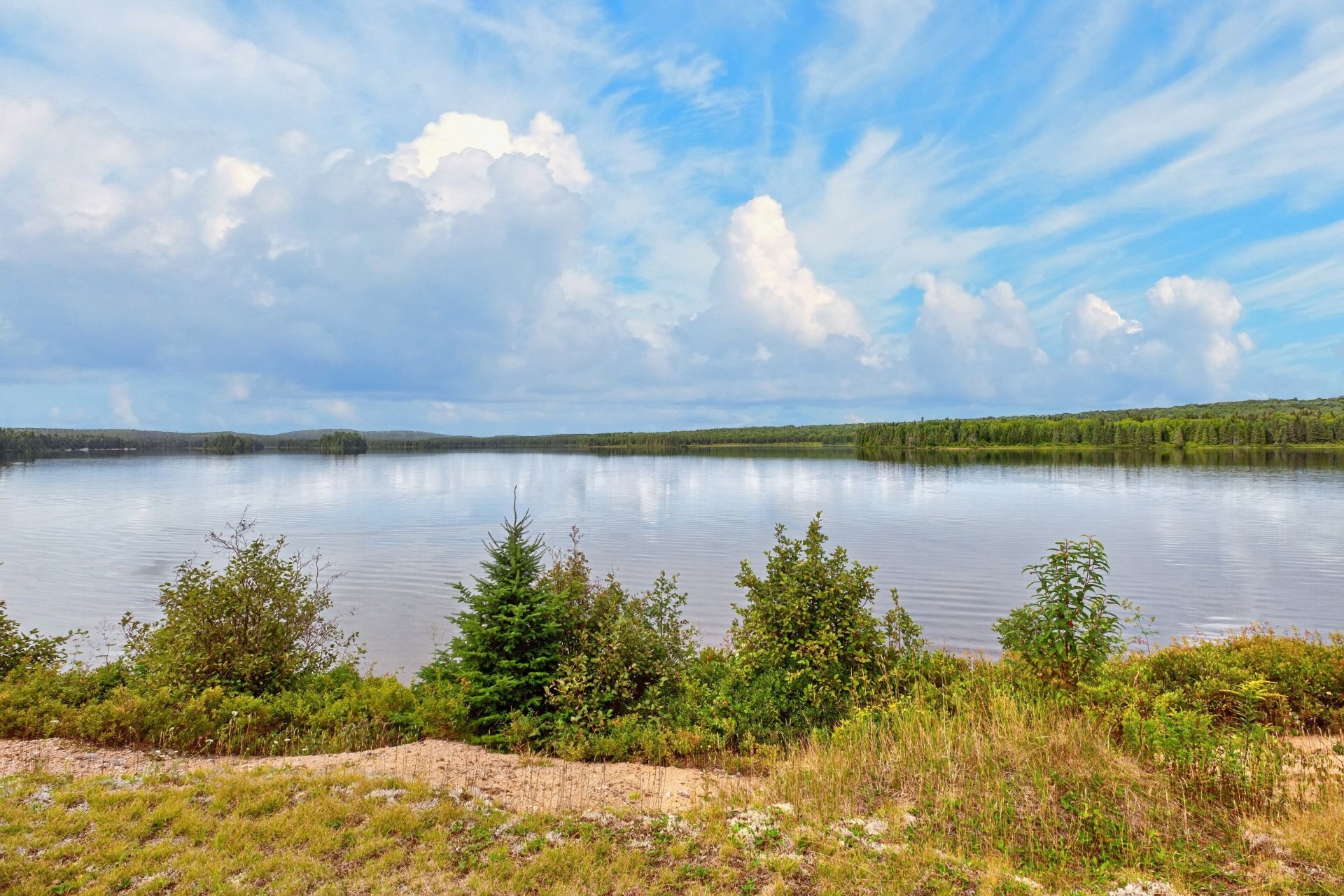 









1000


Ch. du Lac-Lusignan

,
Saint-Guillaume-Nord,




QC
J0K3B0

