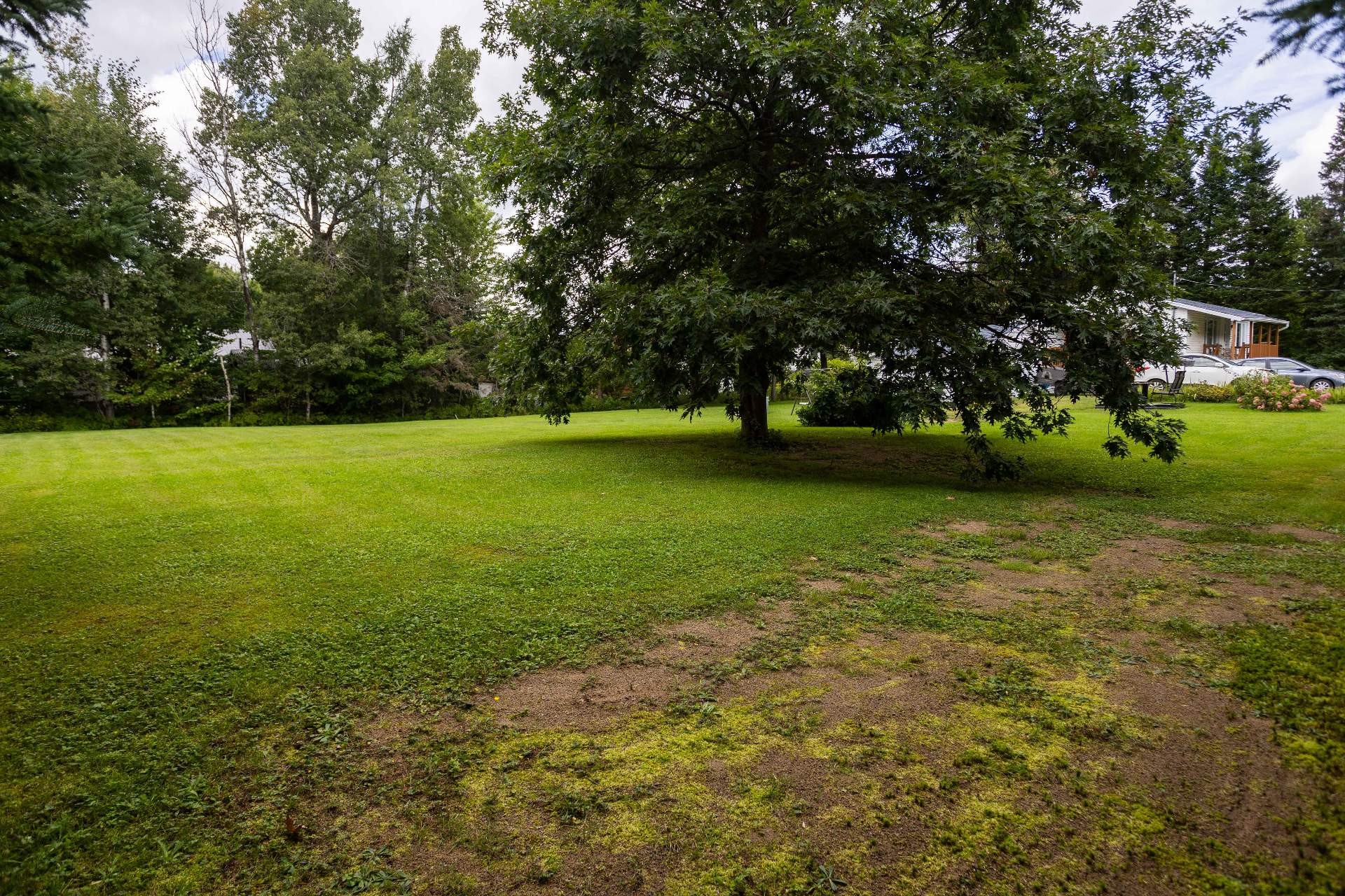 









650


Ch. Juneau

,
Shawinigan,




QC
G9R1L6

