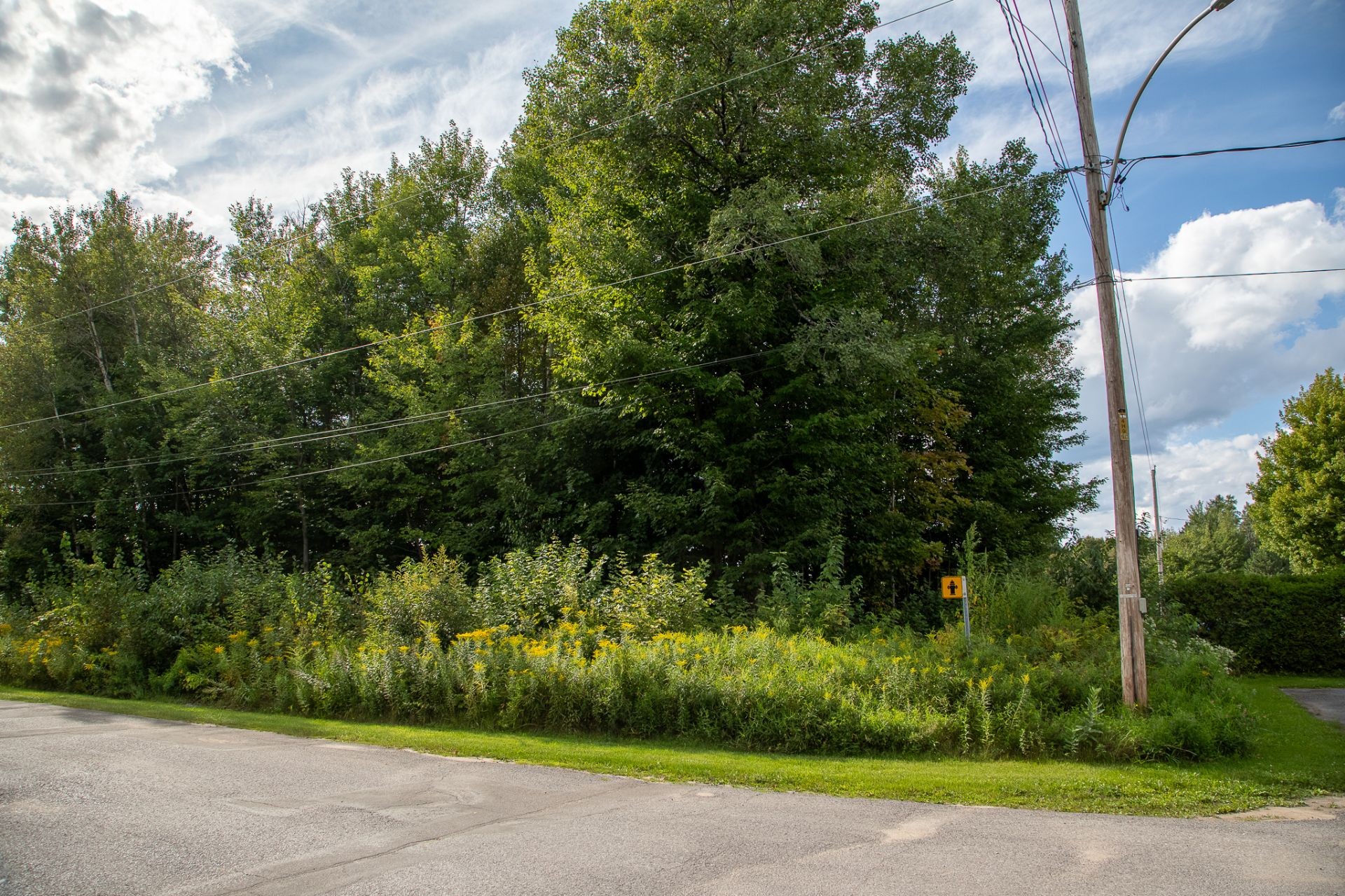 












Rue des Pignons

,
Trois-Rivières,







QC
G9A5E1

