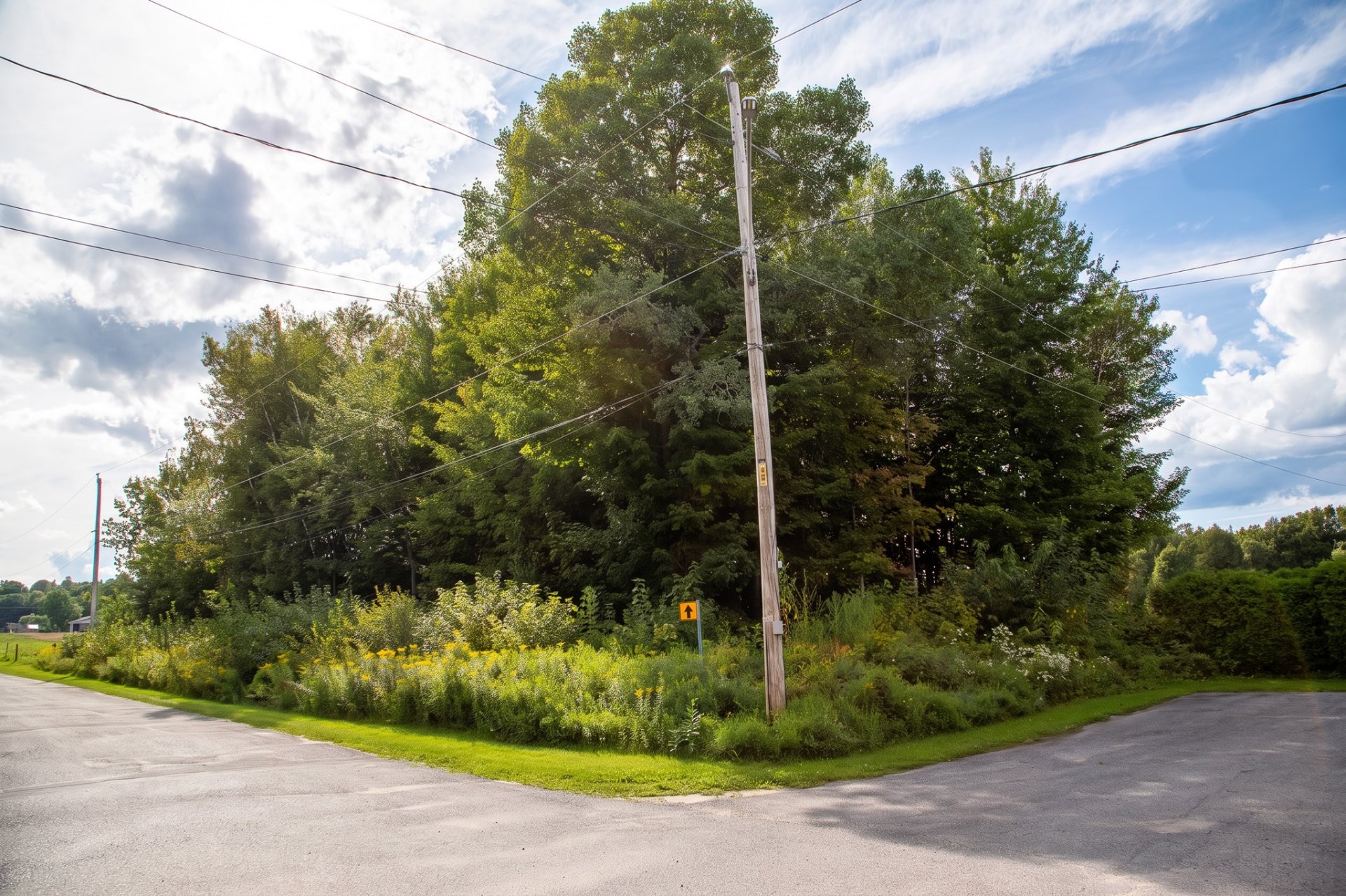 












Rue des Pignons

,
Trois-Rivières,







QC
G9A5E1


