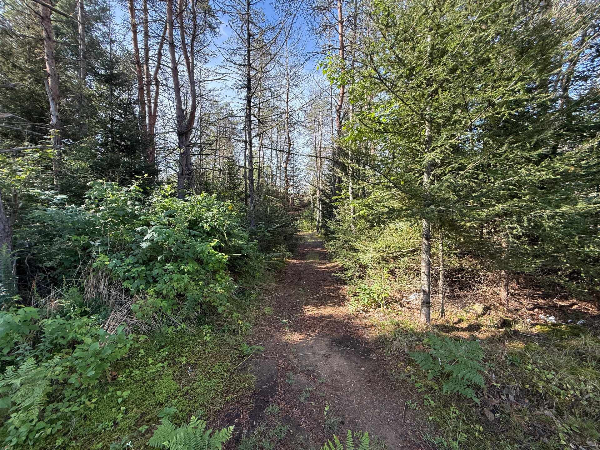 









4


Ch. de la Plantation

,
Cayamant,




QC
J0X1Y0

