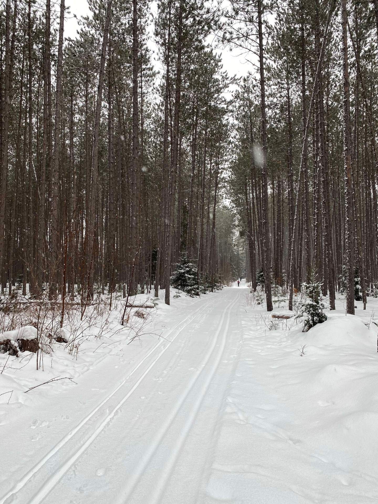 









65Z


Ch. des Pins

,
Kazabazua,




QC
J0X1X0

