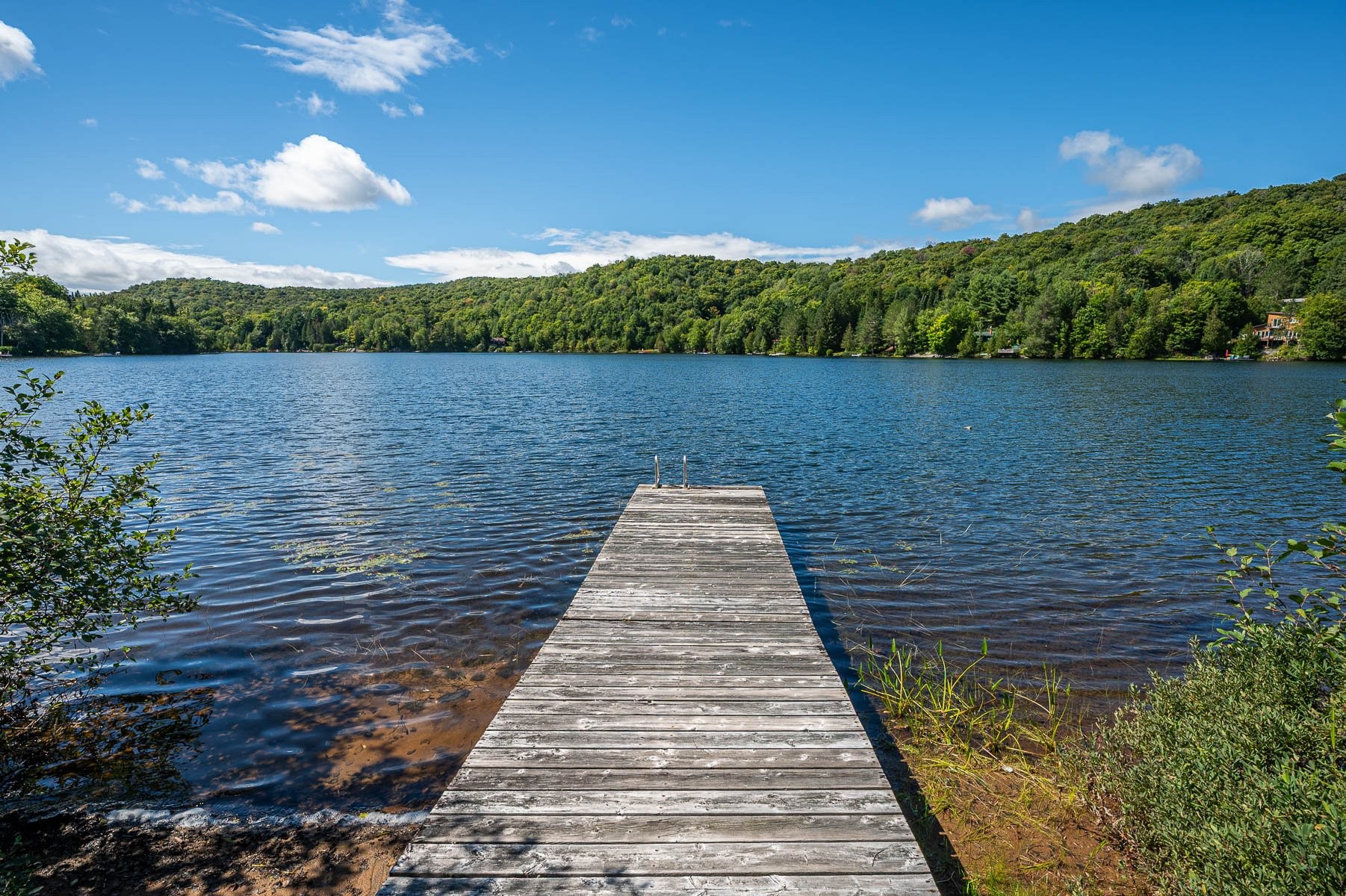 









2577


Mtée du Lac-Louise

,
Saint-Adolphe-d'Howard,




QC
J0T2B0

