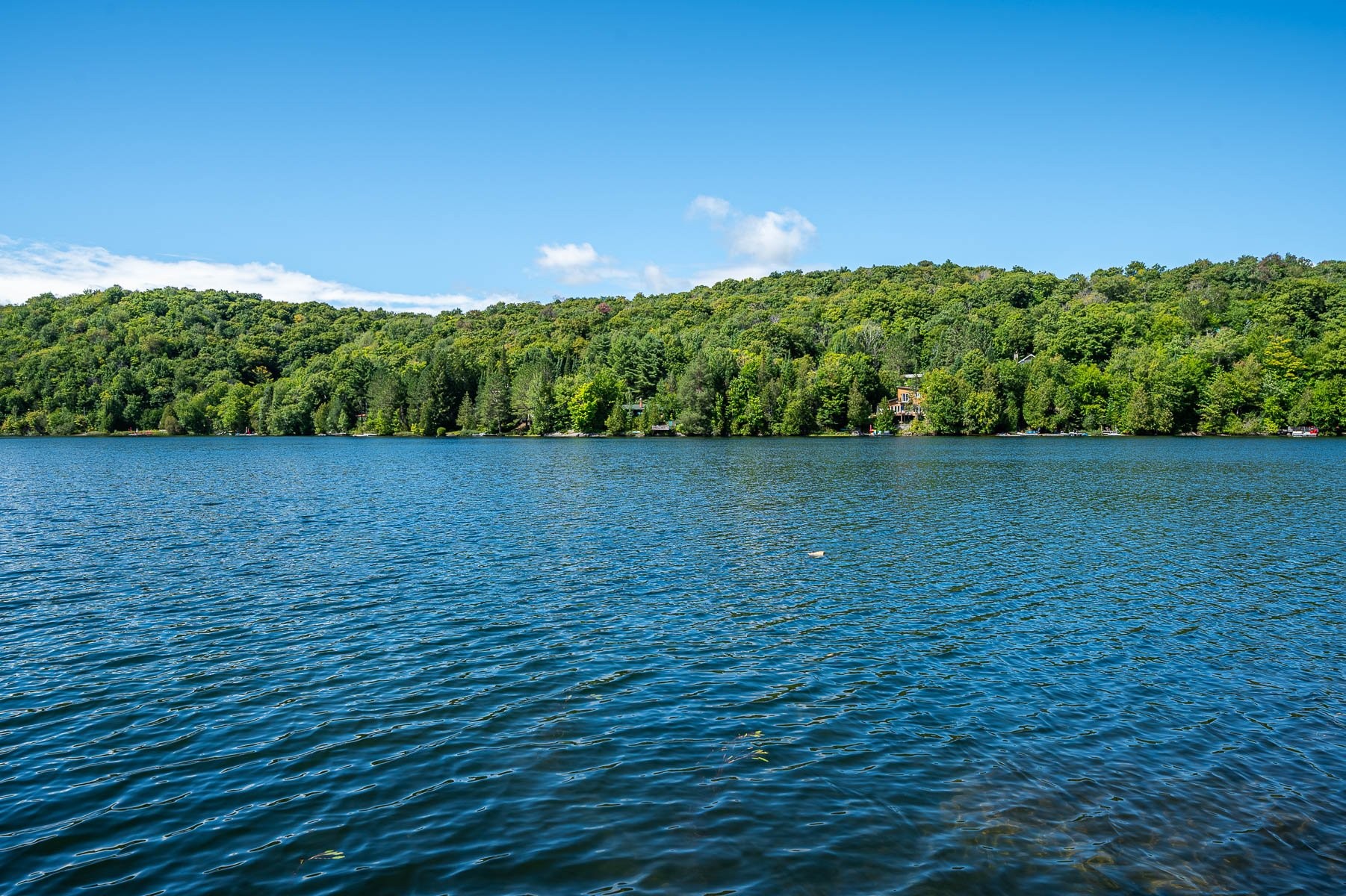 









2577


Mtée du Lac-Louise

,
Saint-Adolphe-d'Howard,




QC
J0T2B0

