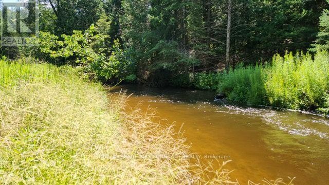 












29 DORAN ROAD

,
Springwater,




Ontario
L9X1L3

