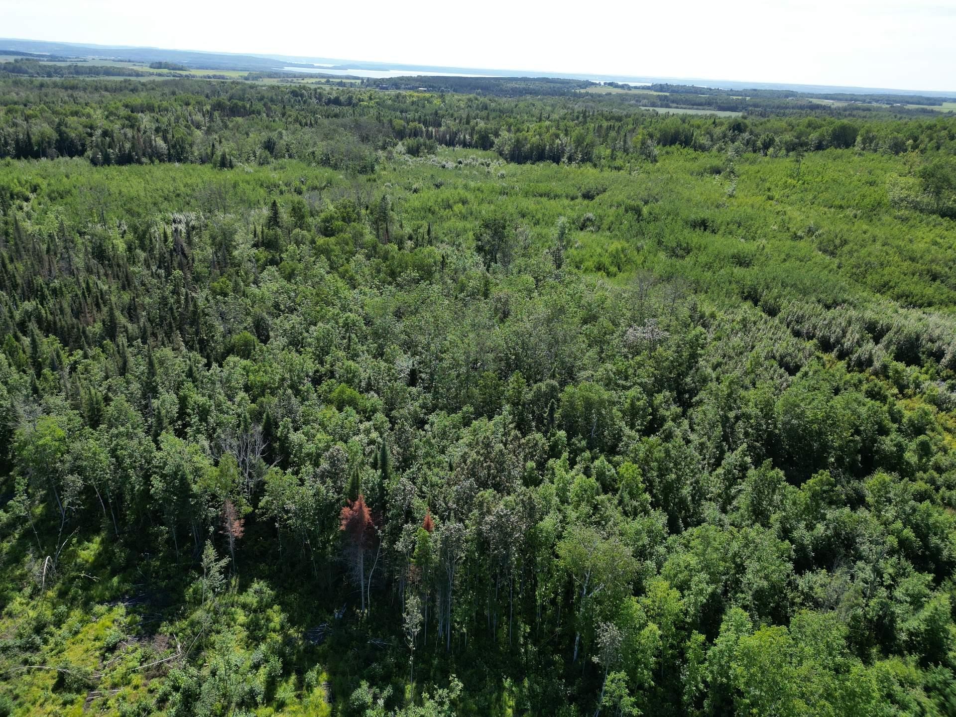 












Rg Forget

,
Saint-Eugène-de-Guigues,







QC
J0Z3L0

