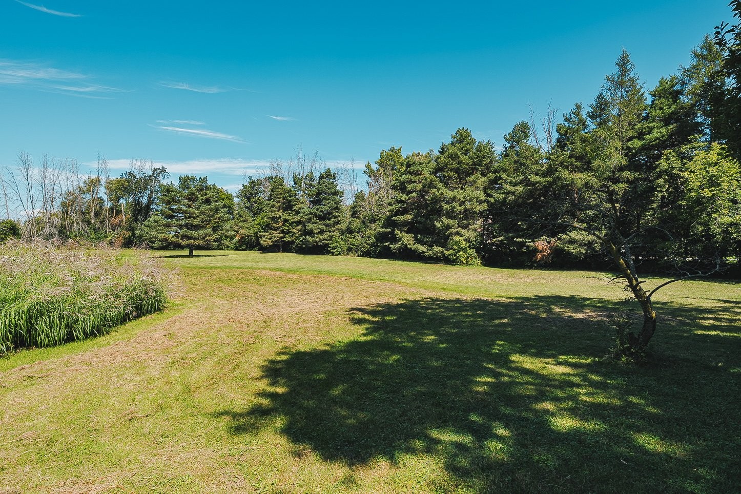 









880


Rg de l'Achigan S.

,
L'Épiphanie,




QC
J5X3M7

