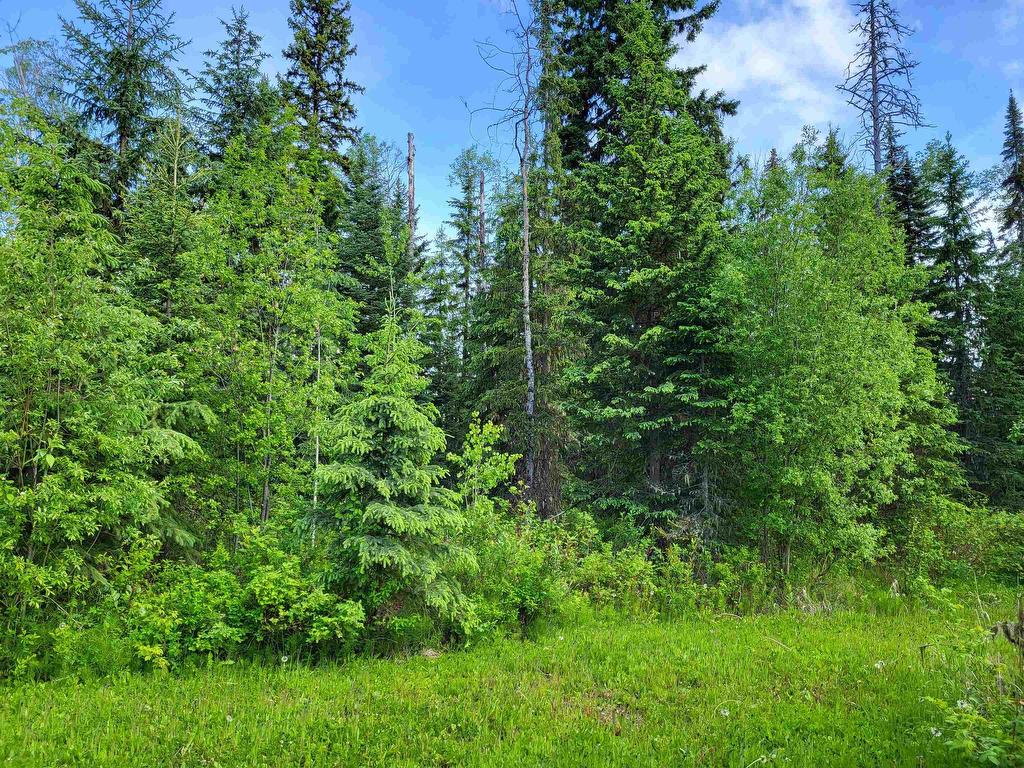 









17530


Perry

Road East,
Prince George,







BC
V2K 5E3

