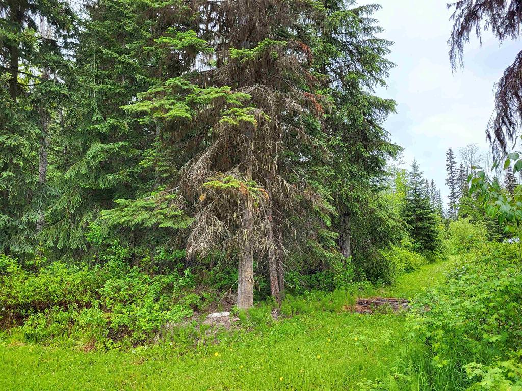 









17530


Perry

Road East,
Prince George,







BC
V2K 5E3

