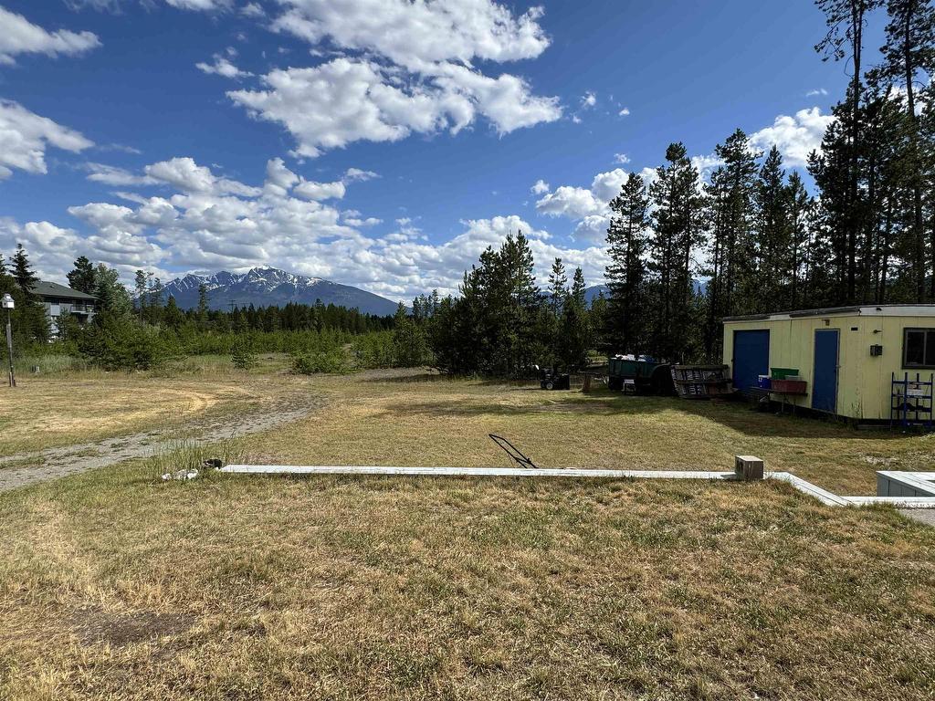 












1055 9TH AVENUE

,
Valemount,




BC
V0E 2Z0

