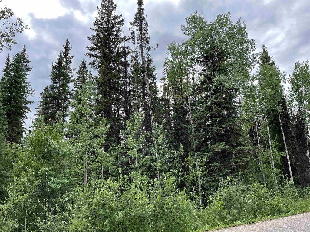 












LOT A JARDINE ROAD

,
Cluculz Lake,







BC
V0J 3A0

