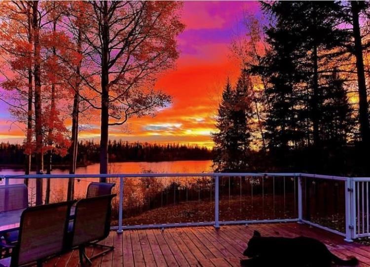 









28260


Ness Lake

Road,
Prince George,




BC
V2K 5N1


