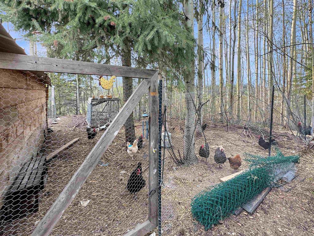 









28260


Ness Lake

Road,
Prince George,




BC
V2K 5N1

