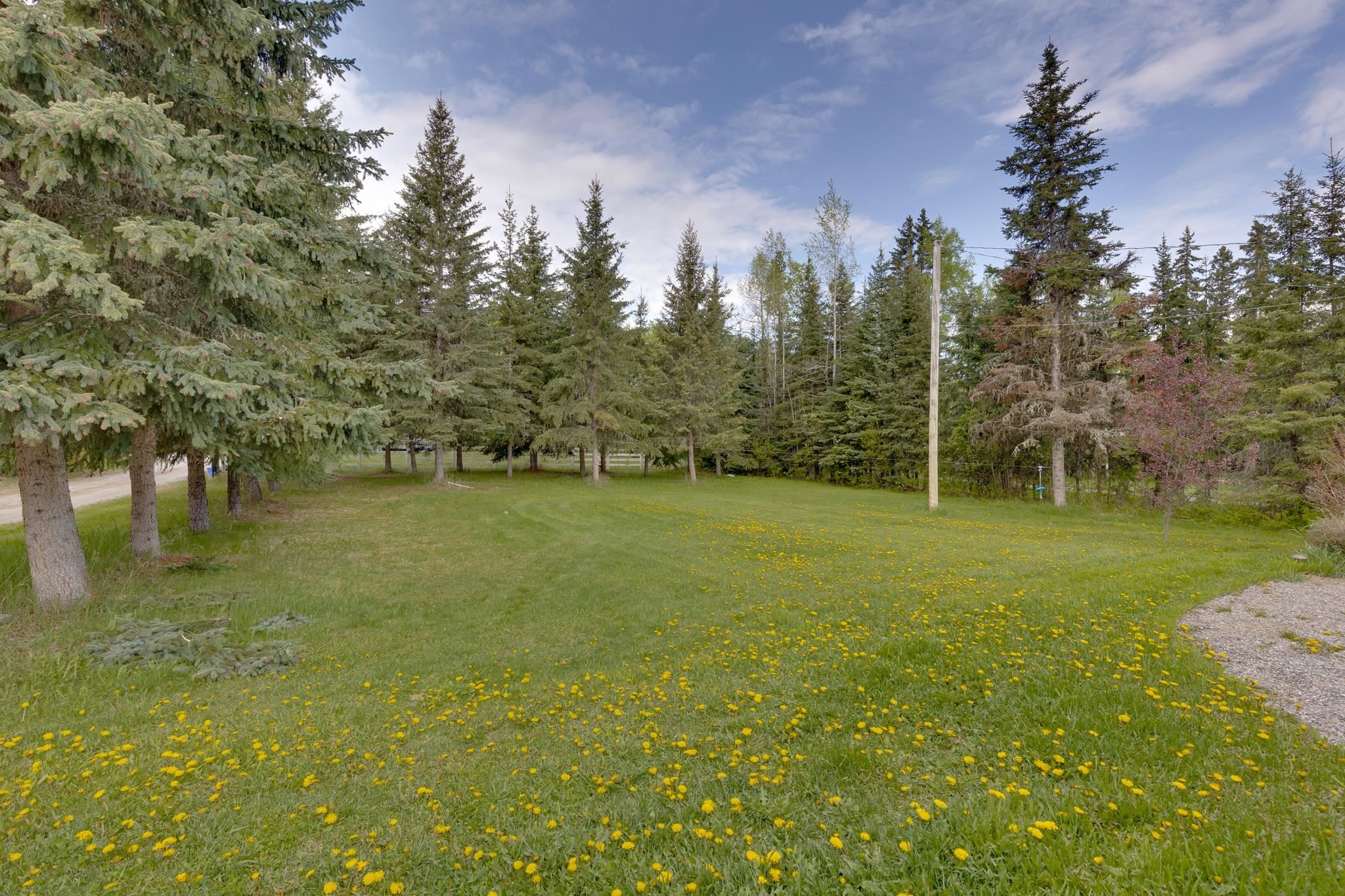 









520


Shelley

Road South,
Prince George,




BC
V2N 6G1

