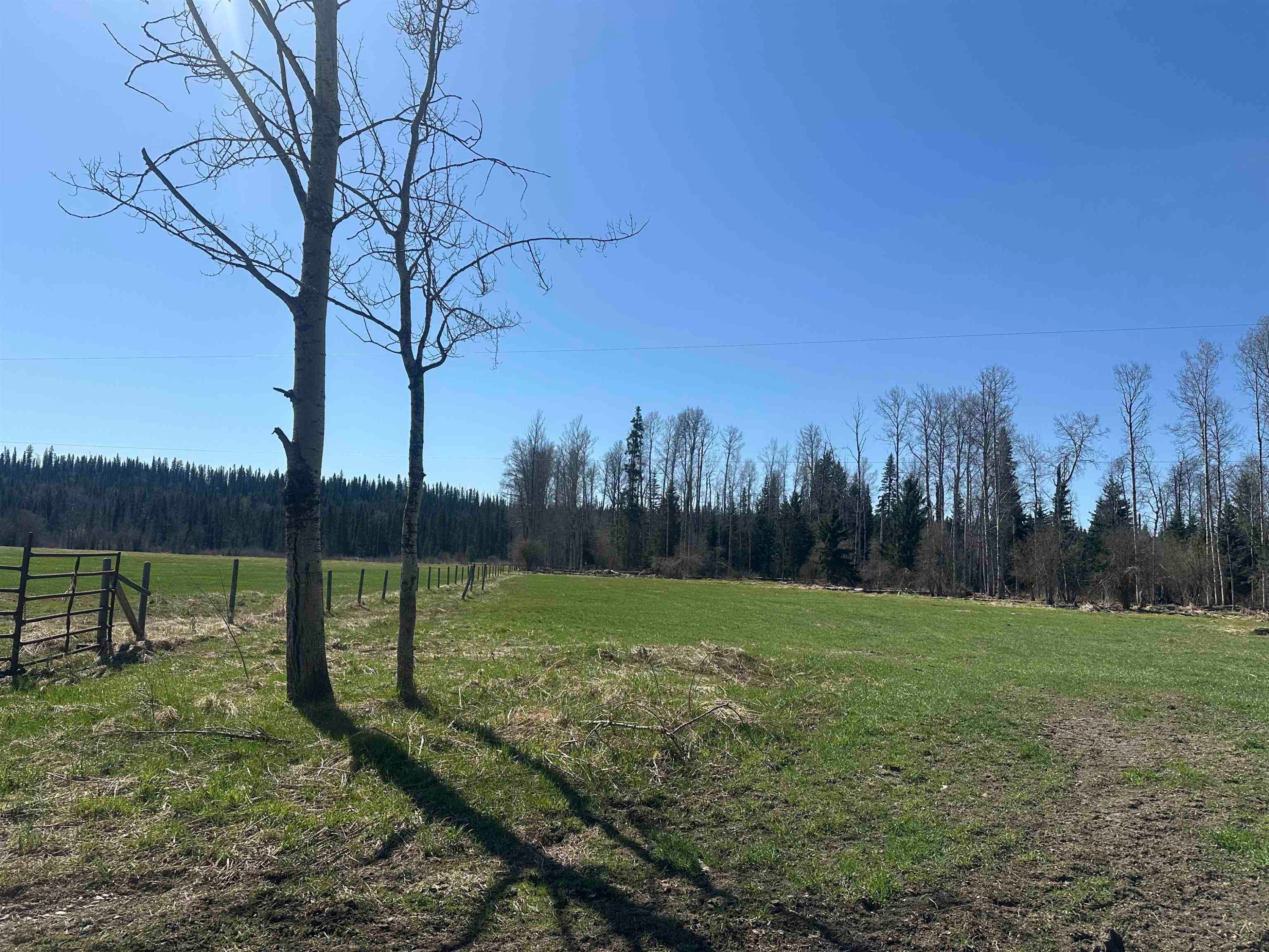 












Perry

Road East,
Prince George,







BC
V2K 5E4

