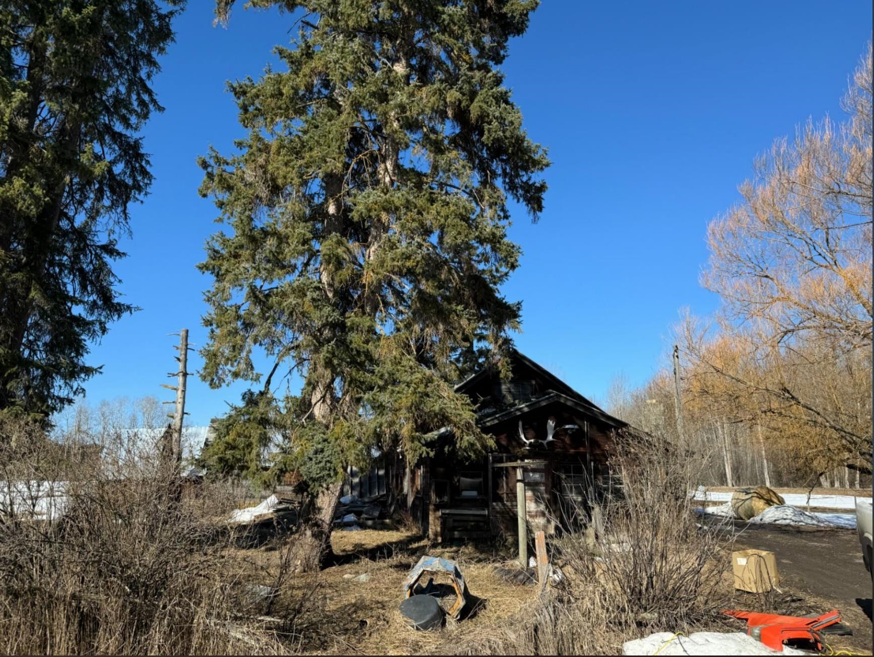 












Perry

Road East,
Prince George,







BC
V2K 5E4

