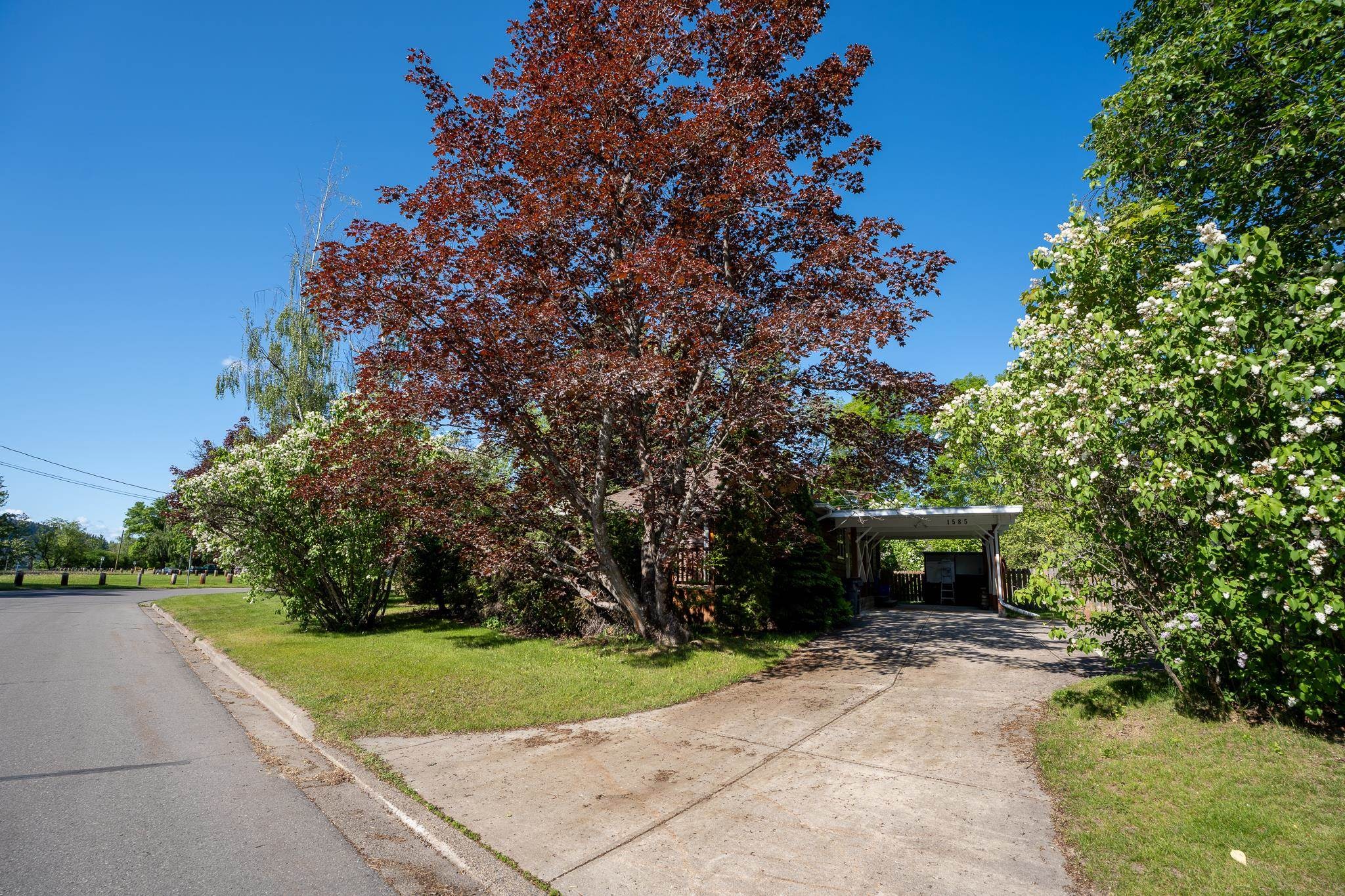 









1585


Taylor

Drive,
Prince George,




BC
V2L 1A3

