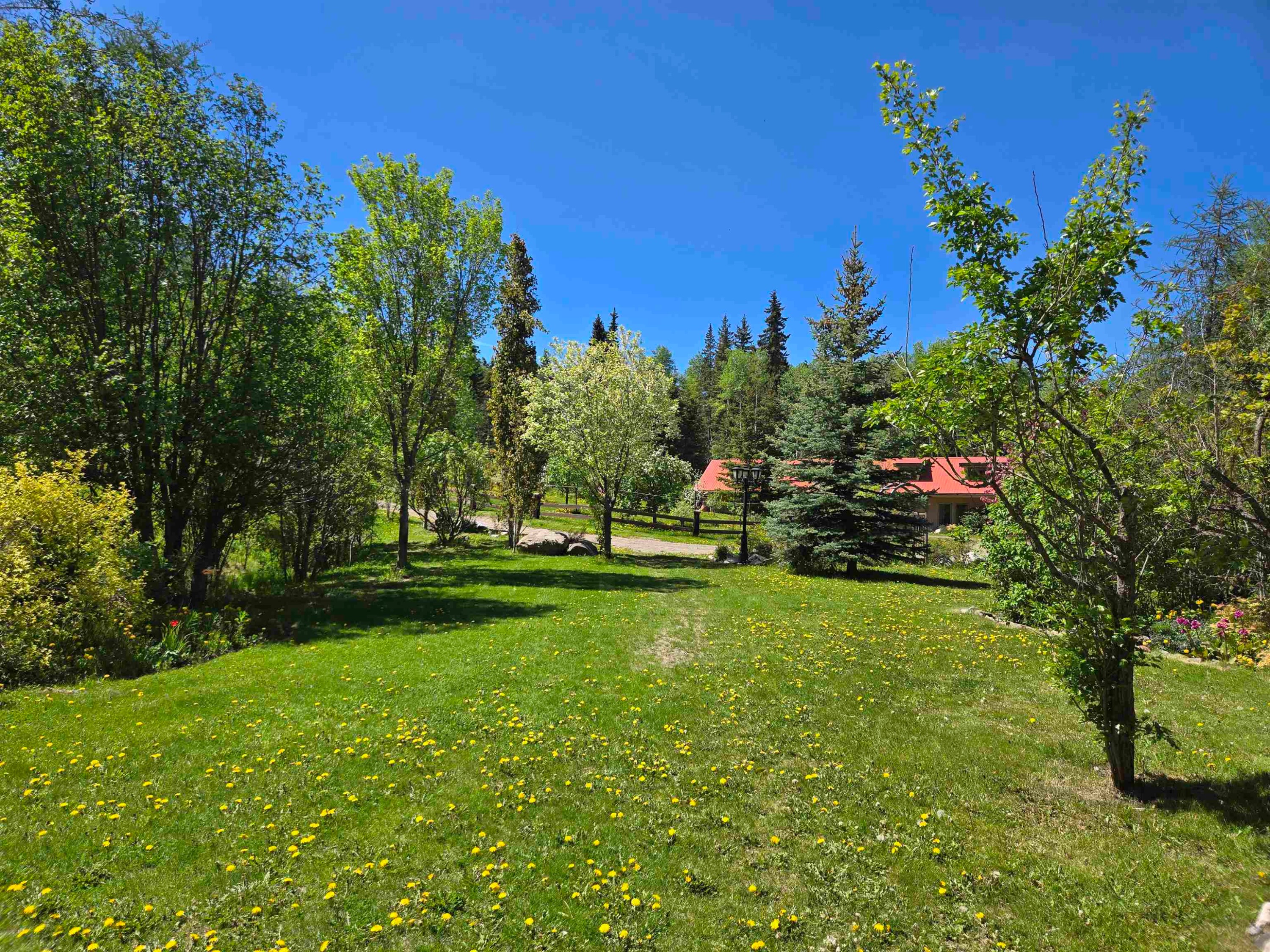









23854


Mund

Road,
Burns Lake,




BC
V0J 1E4


