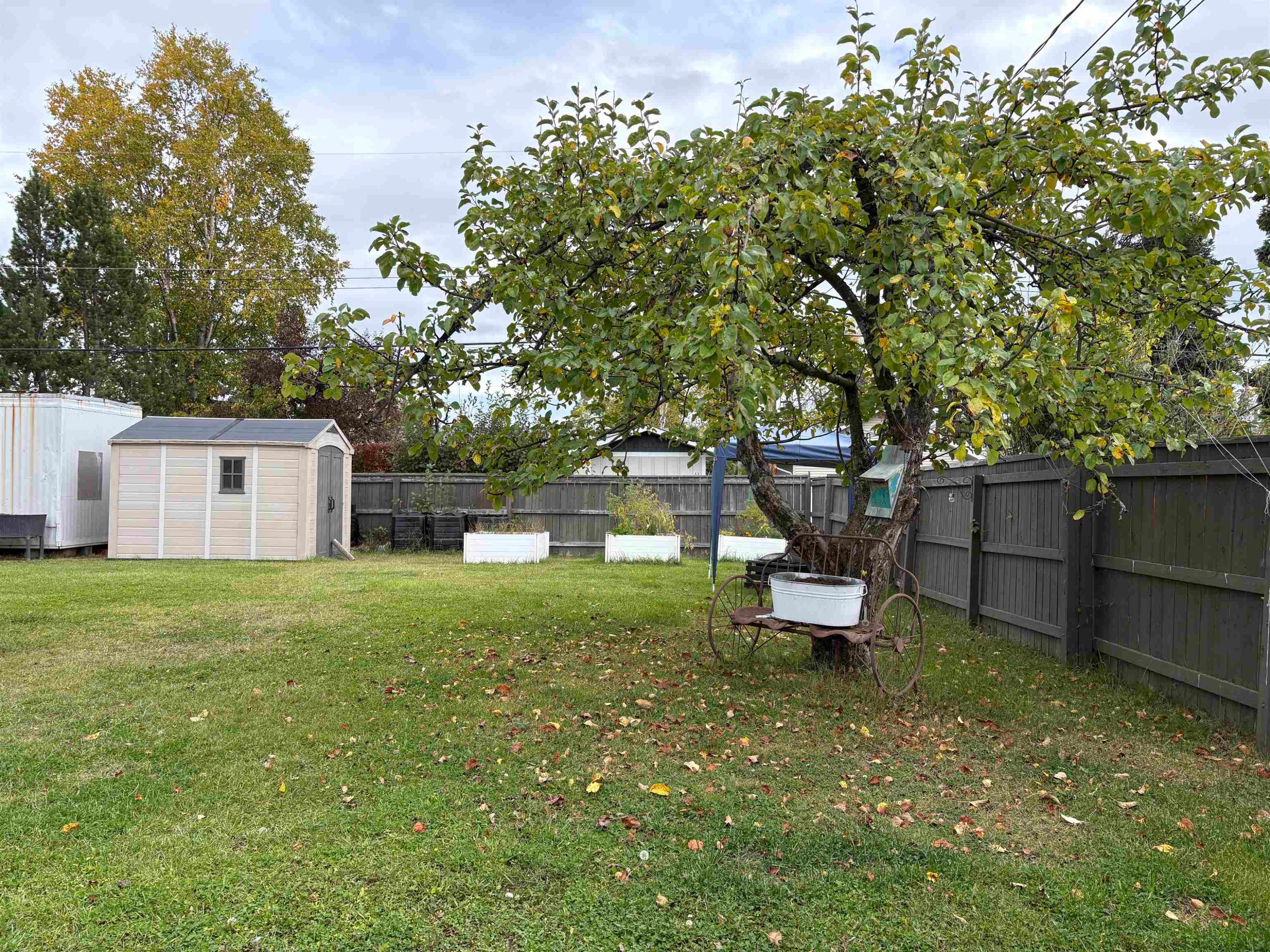









298


Quinn

Street North,
Prince George,




BC
V2M 3J5

