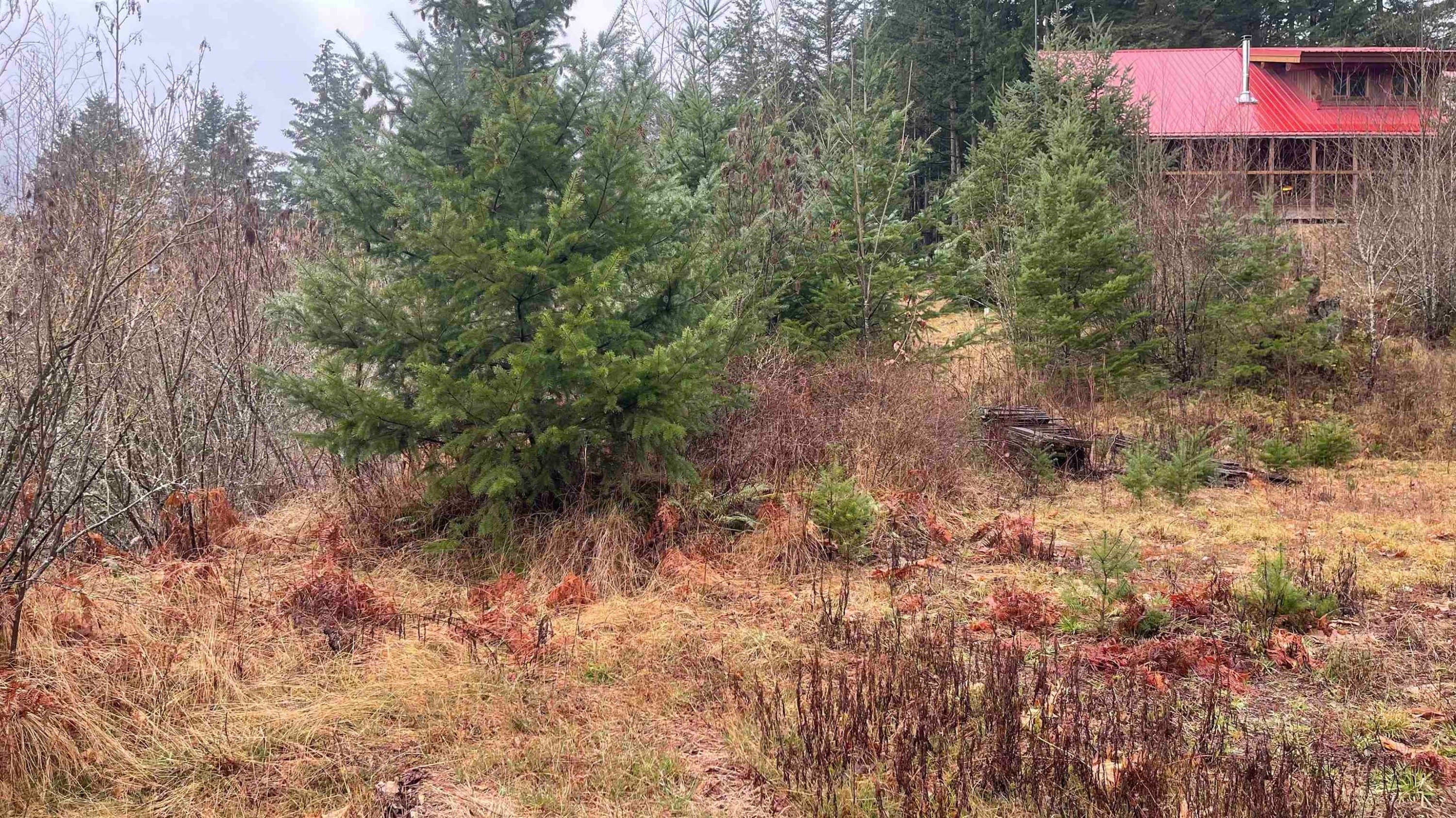 









21885


Union Bar

Road,
Hope,




BC
V2X 1L1

