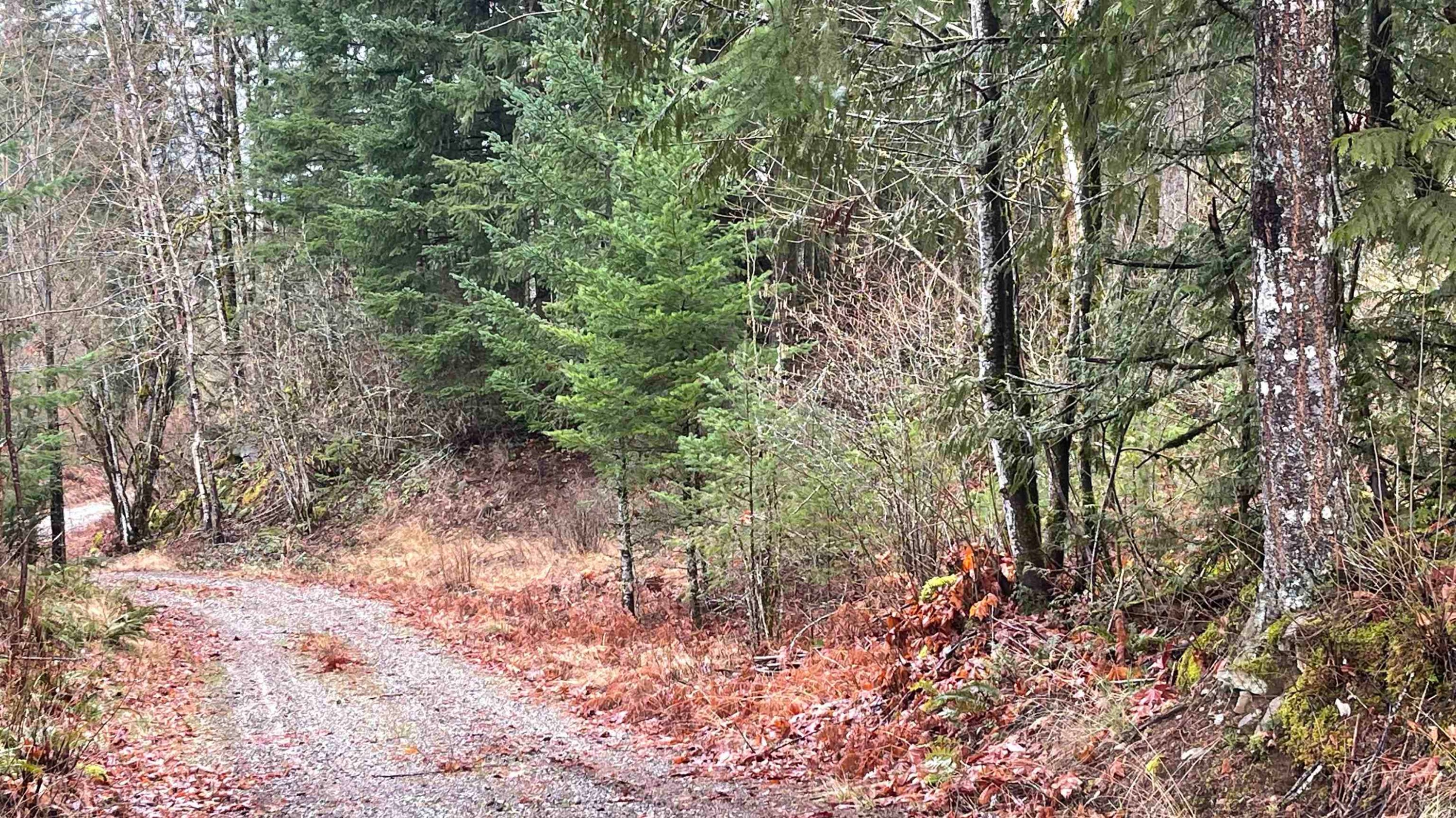 









21885


Union Bar

Road,
Hope,




BC
V2X 1L1

