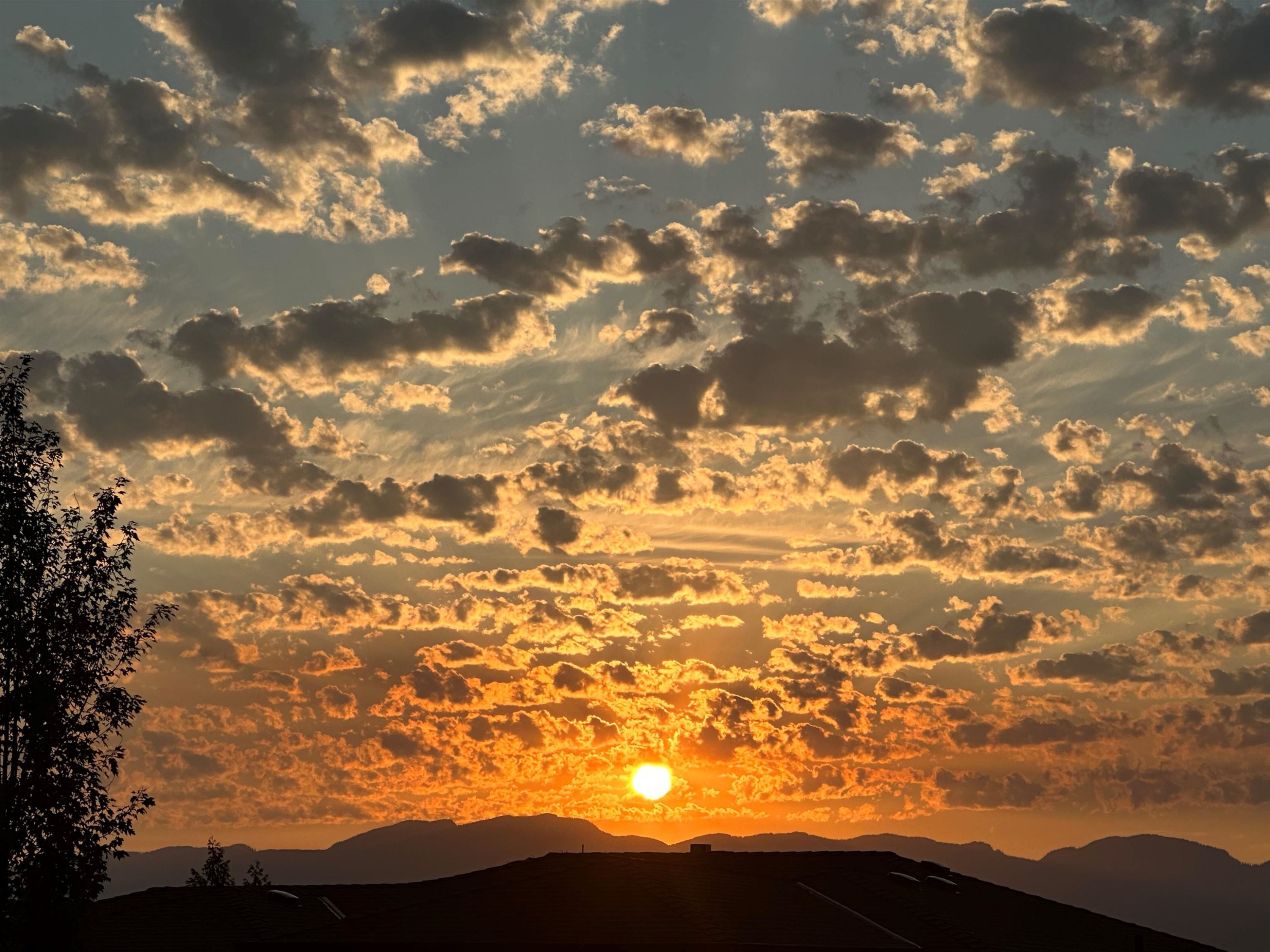 









51075


Falls

Court, 152,
Chilliwack,




BC
V4Z 1K7

