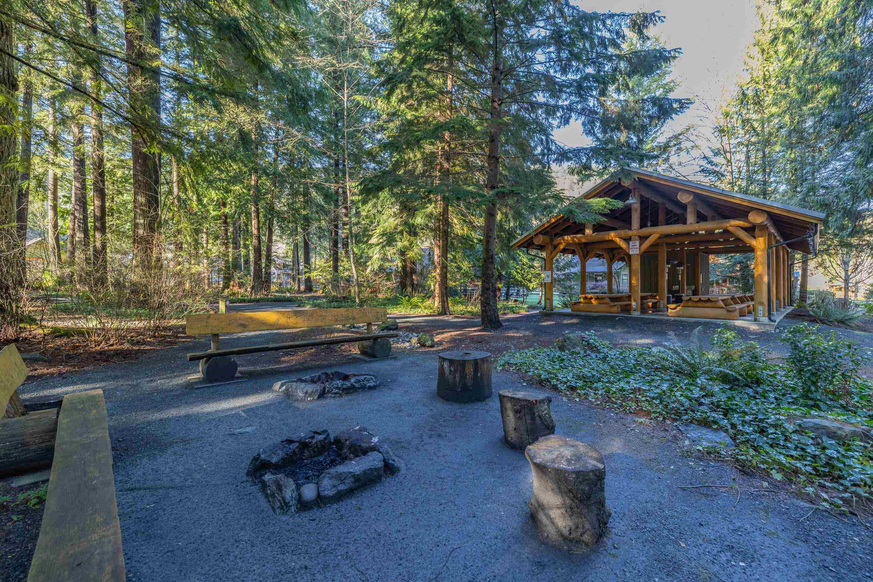 









1818


Tree House

Trail,
Lindell Beach,




BC
V2R 0E1

