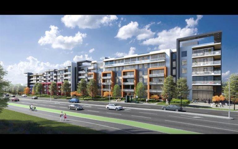









8140


166

Street, 204,
Surrey,




BC
N0N 0N0

