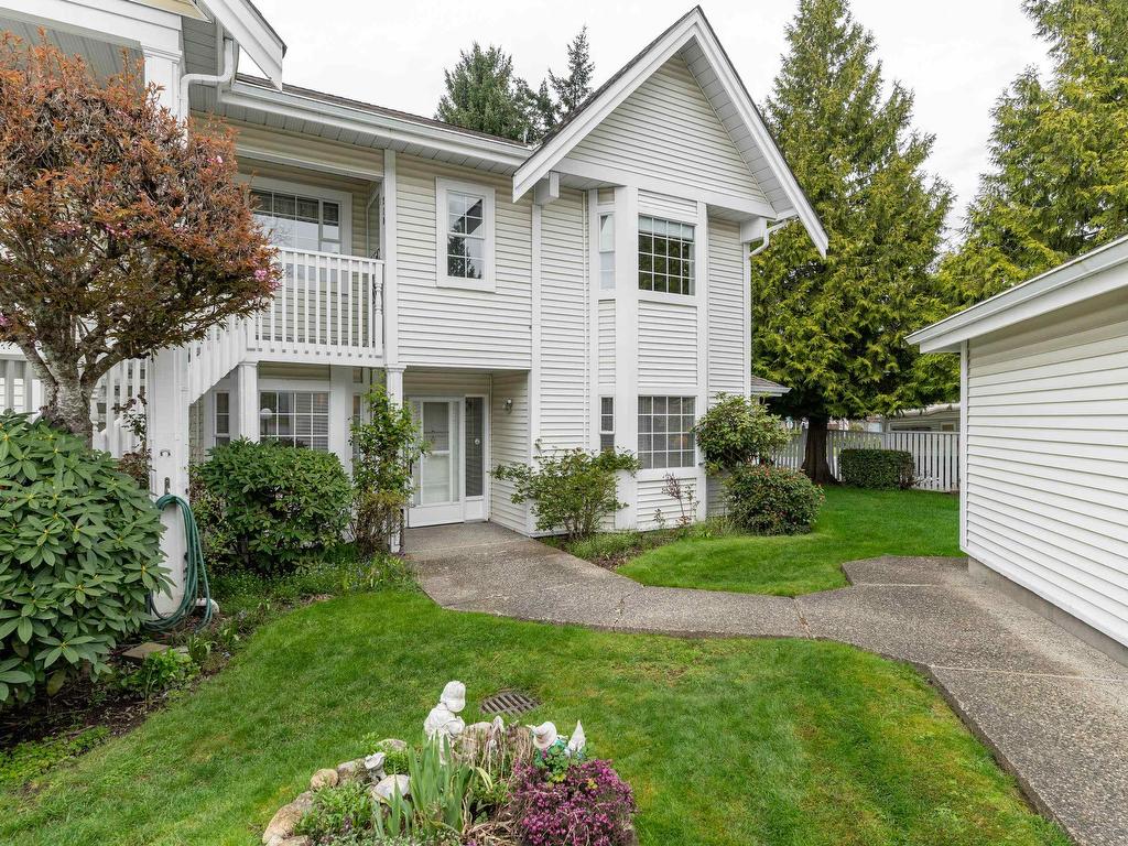 









9109


154

Street, 209,
Surrey,




BC
V3R 9G8

