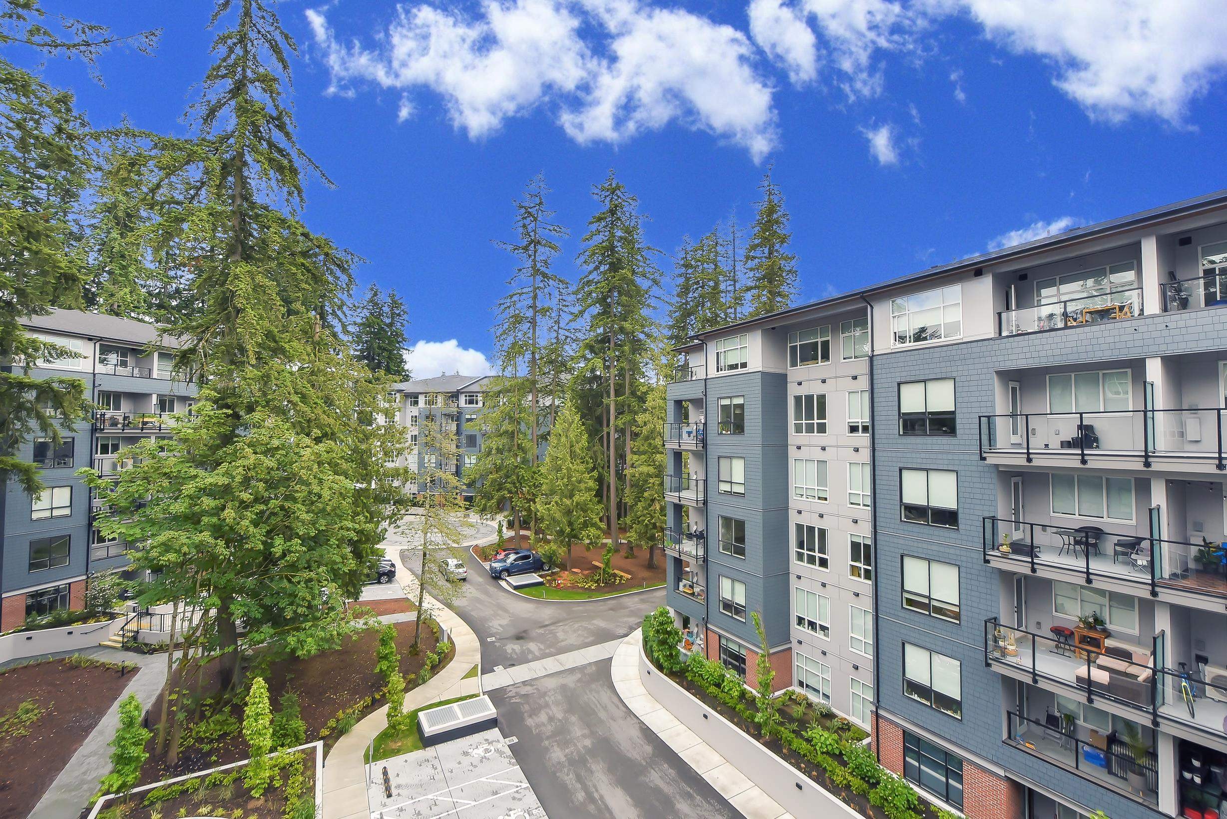 









3480


146a

Street, 522,
Surrey,




BC
V4P 0H4

