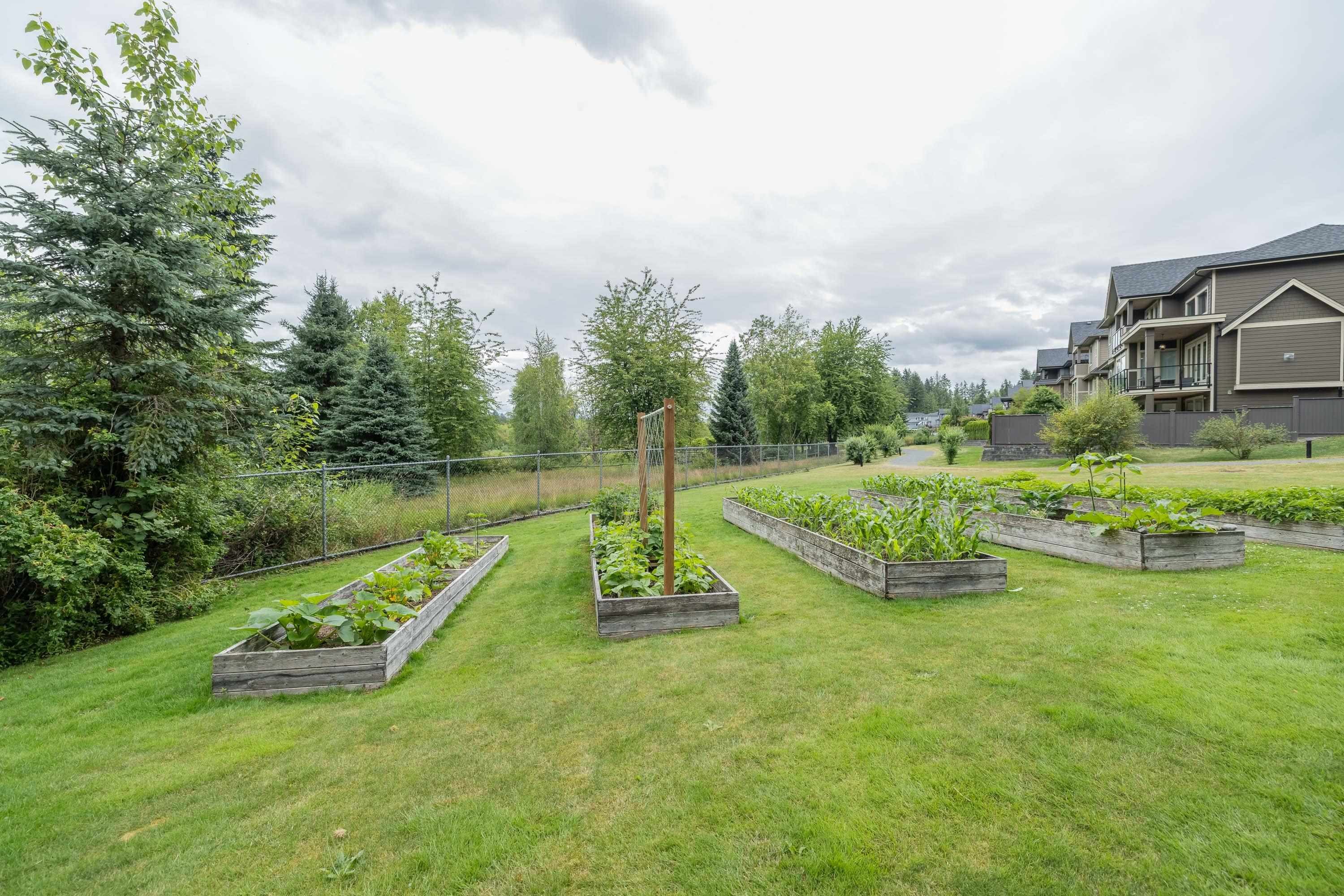 









24455


61

Avenue, 7,
Langley,




BC
V2Y 0R4

