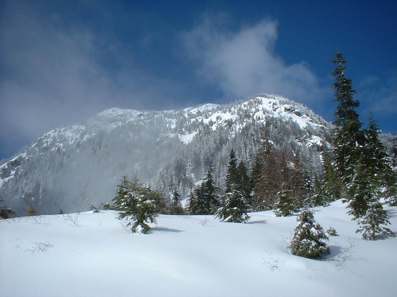 









20649


Edelweiss

Drive, 1,
Agassiz,




BC
V0M 1A1

