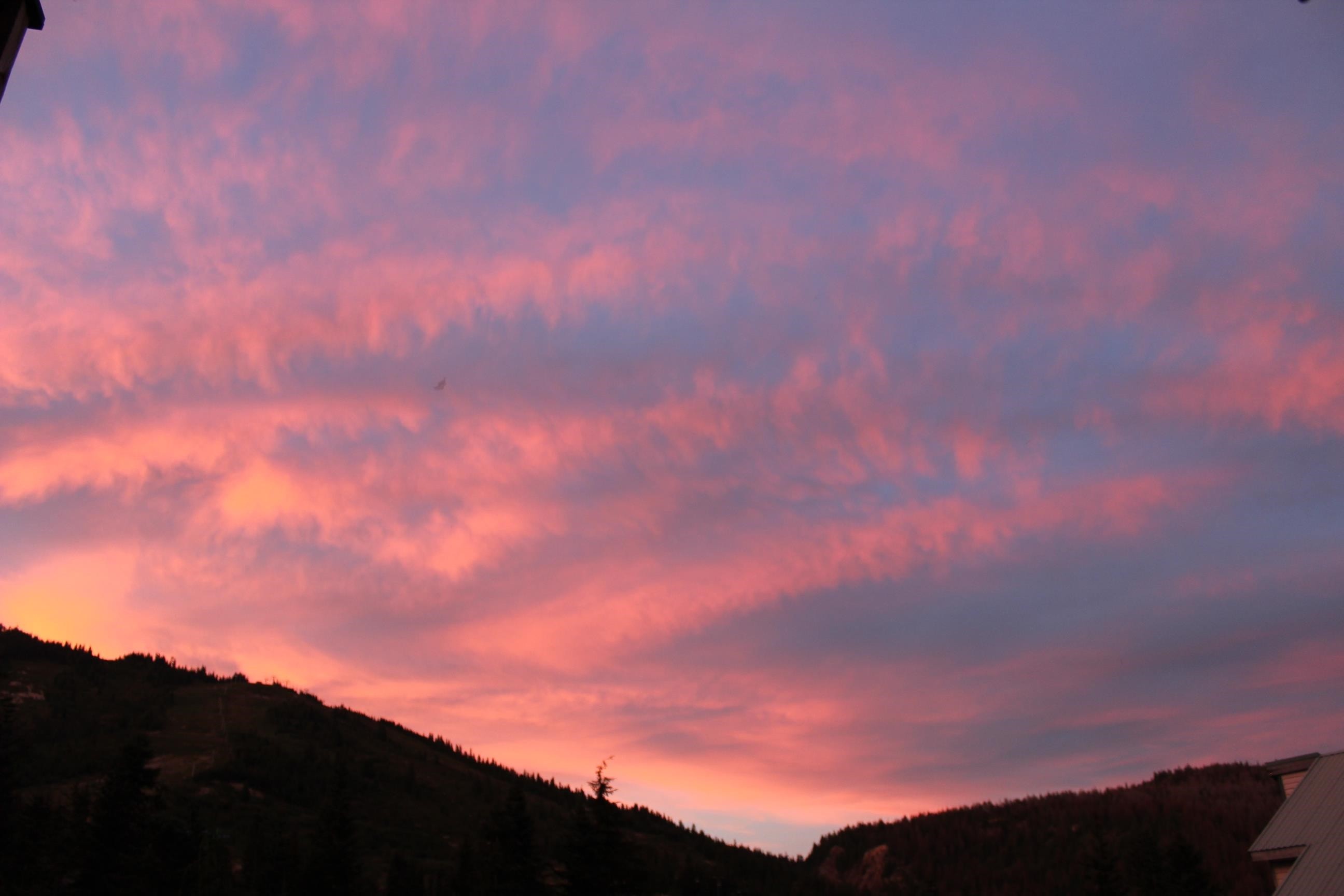 









20649


Edelweiss

Drive, 1,
Agassiz,




BC
V0M 1A1

