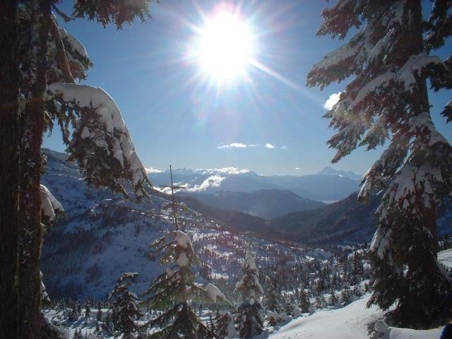 









20649


Edelweiss

Drive, 1,
Agassiz,




BC
V0M 1A1

