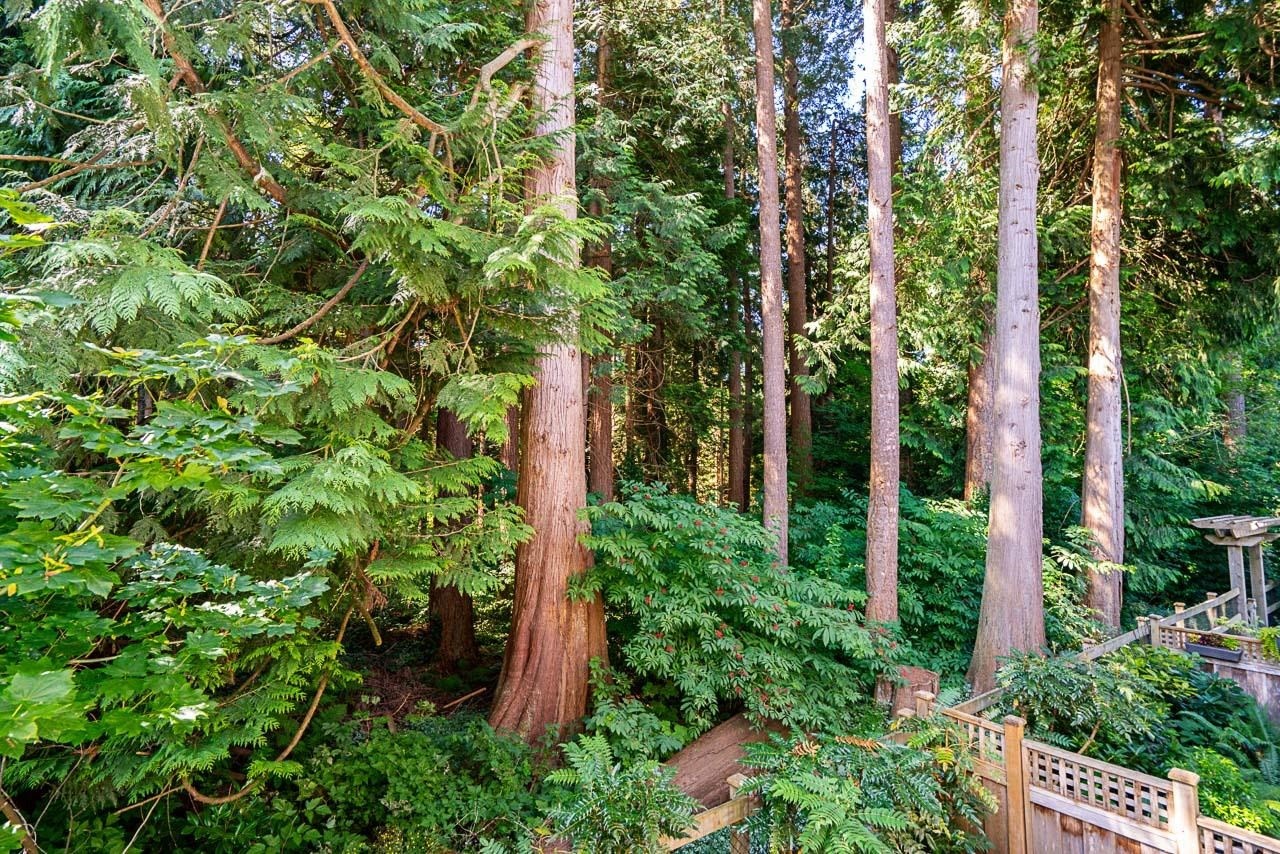 









253


171

Street, 7,
Surrey,




BC
V3Z 9P4

