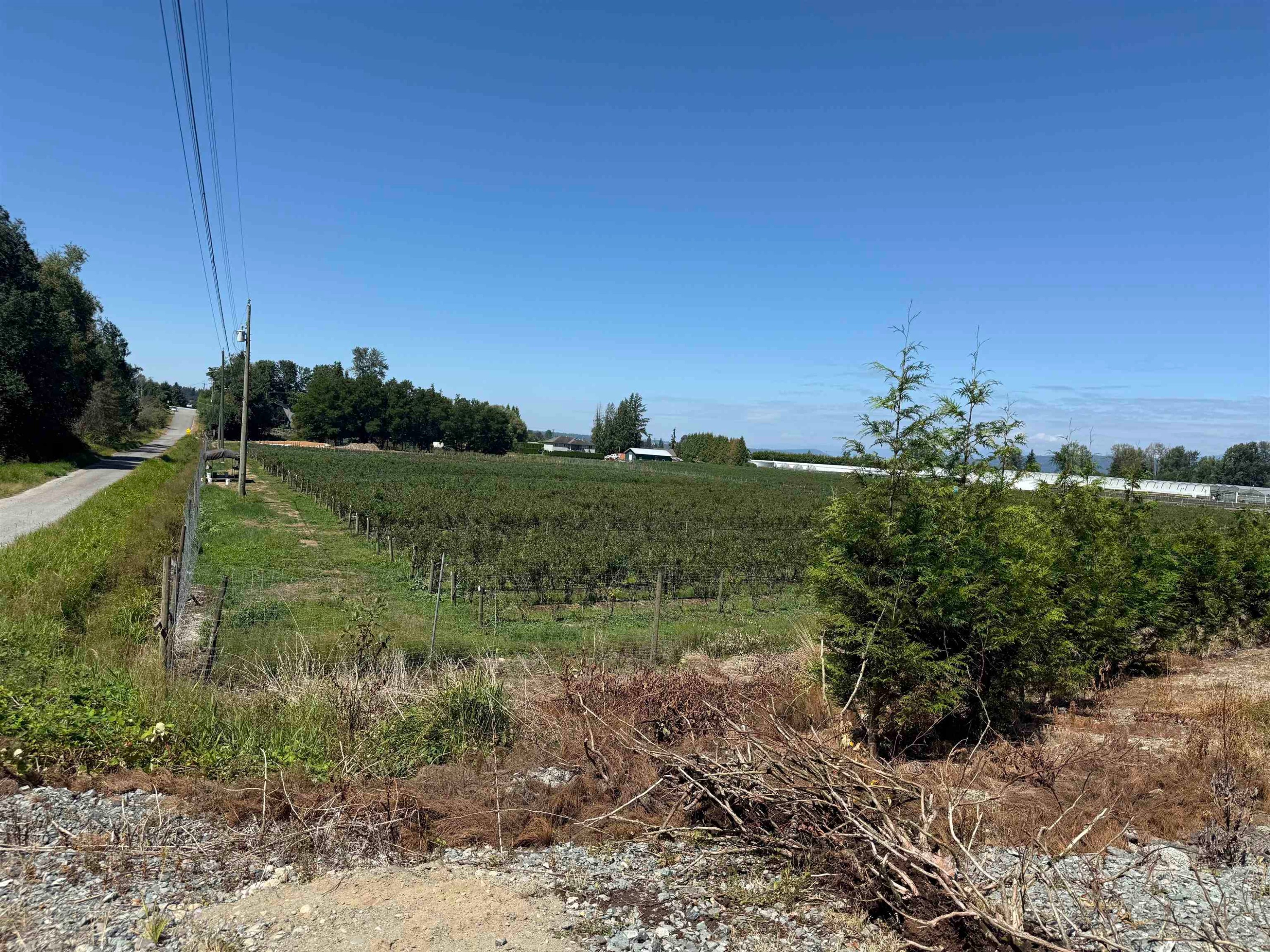 









34861


Bateman

Road,
Abbotsford,







BC
V2S 7Y8

