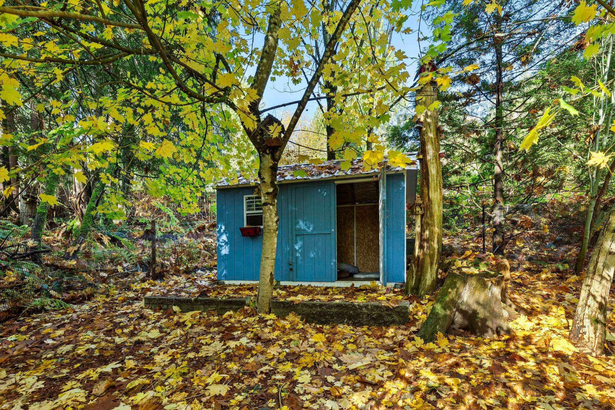 









31730


Viewcrest

Avenue,
Mission,




BC
V4S 1E7

