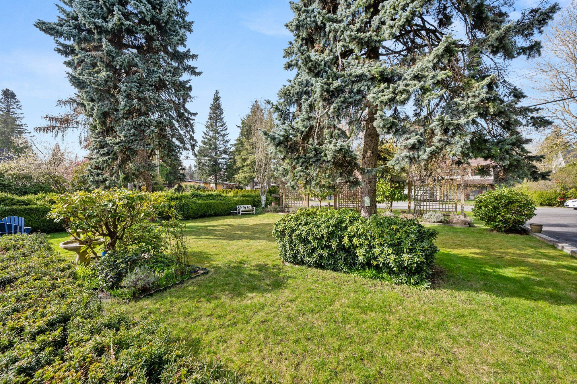 









13558


15

Avenue,
Surrey,




BC
V4A 1L2

