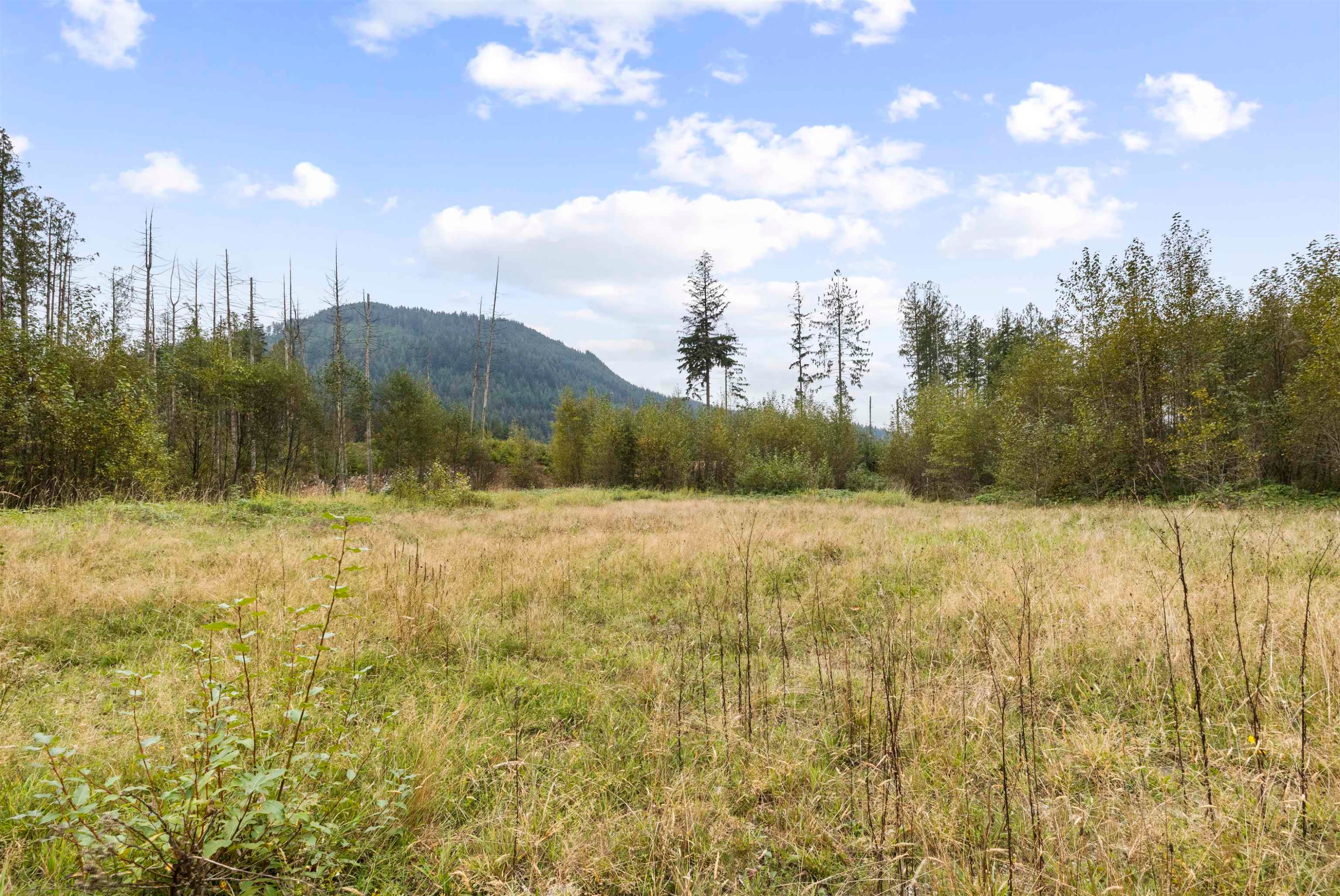 









32482


Dewdney Trunk

Road,
Mission,







BC
V2V 7E8

